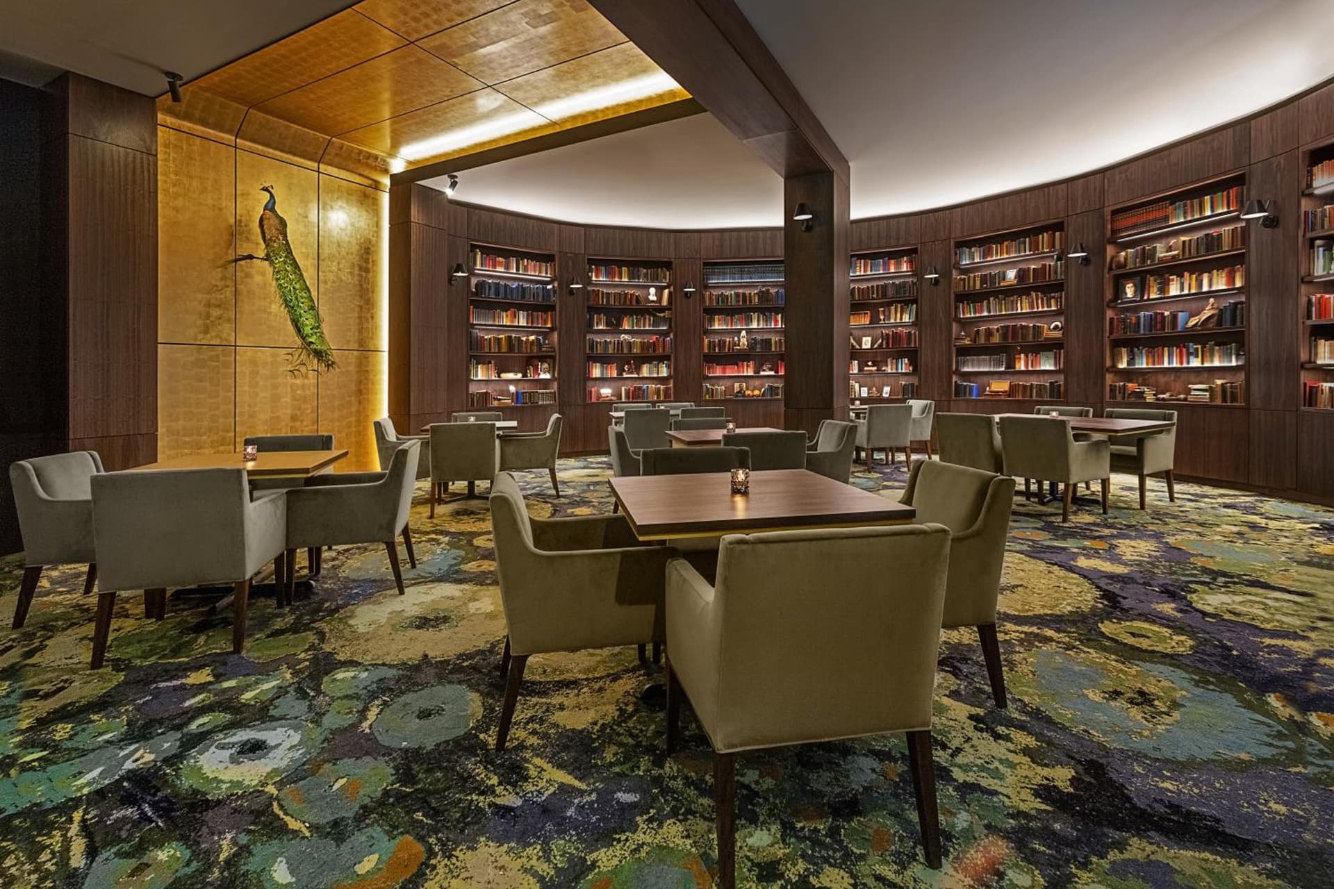 Hotel Haya gallery photo in Tampa, FL — image 23