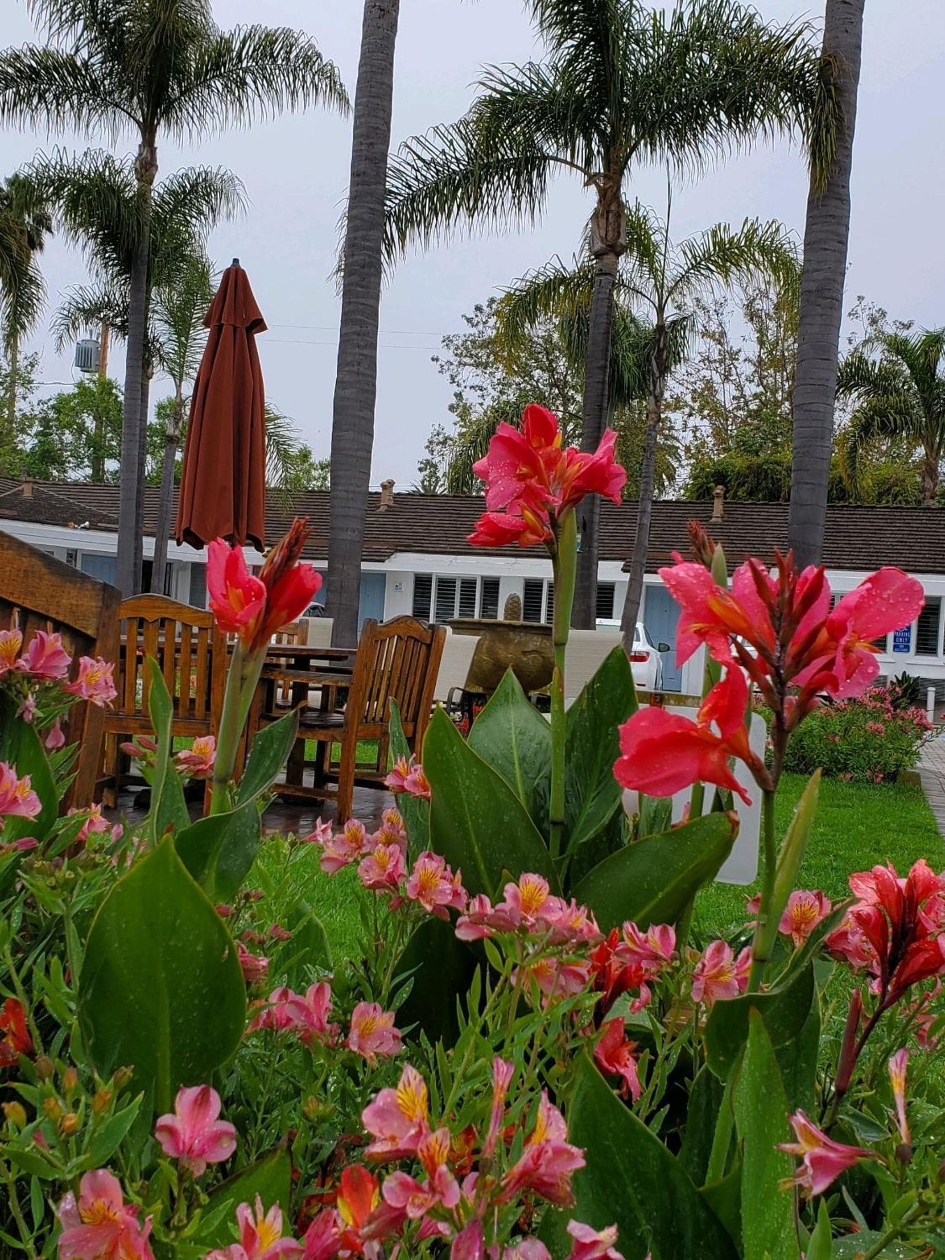 Marina Beach Hotel gallery photo in Santa Barbara, CA — image 81