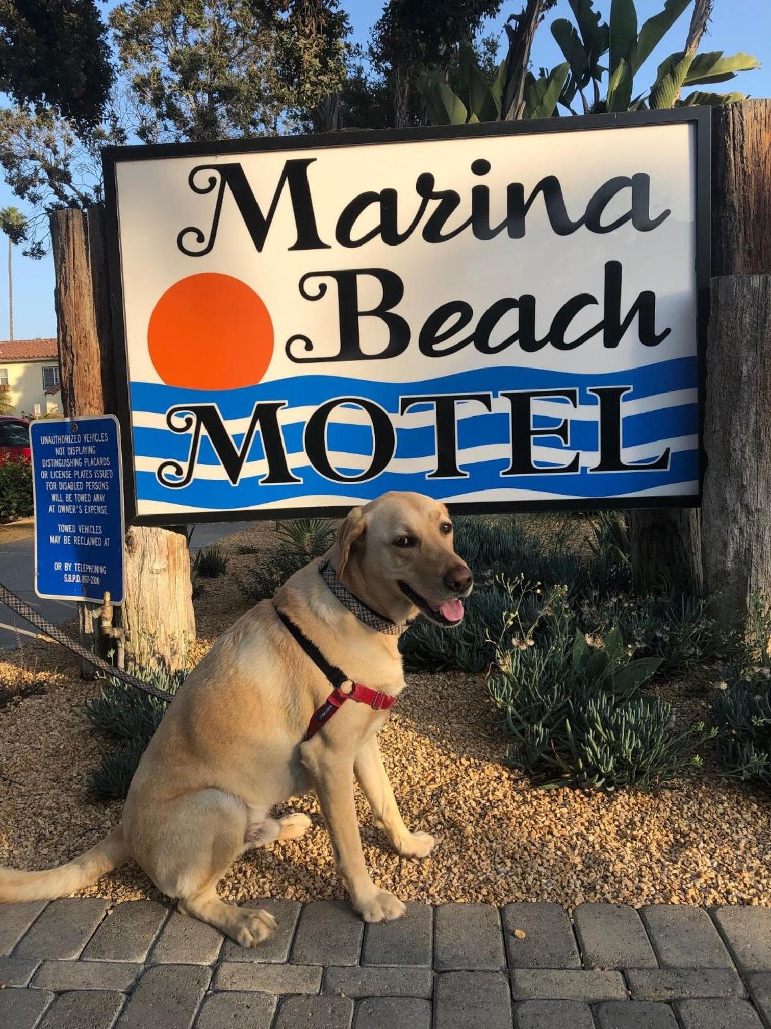 Marina Beach Hotel gallery photo in Santa Barbara, CA — image 6