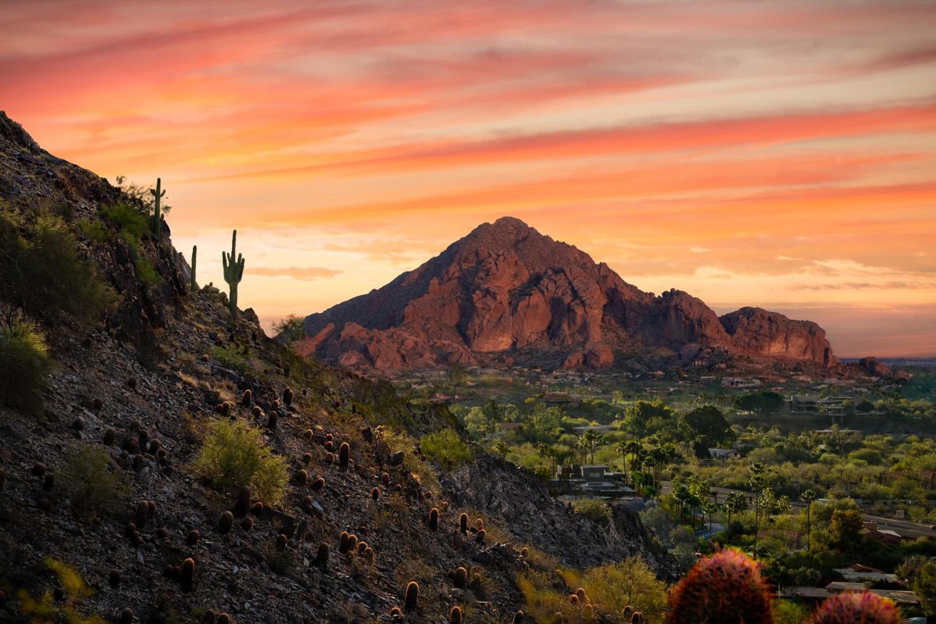 Holiday Inn Express & Suites - Phoenix - Airport North by IHG gallery photo in Phoenix, AZ — image 10