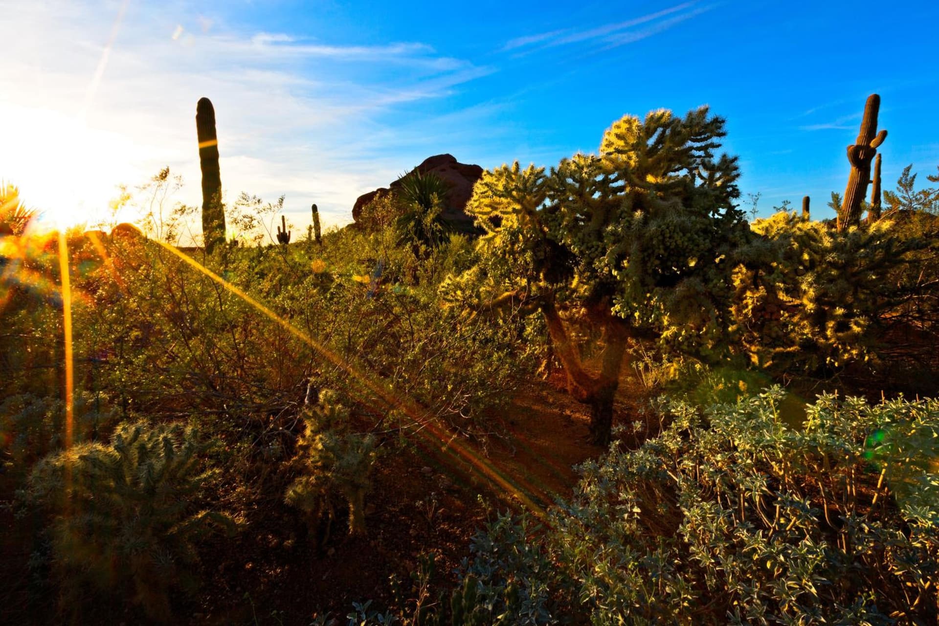 Holiday Inn Express & Suites - Phoenix - Airport North by IHG gallery photo in Phoenix, AZ — image 92