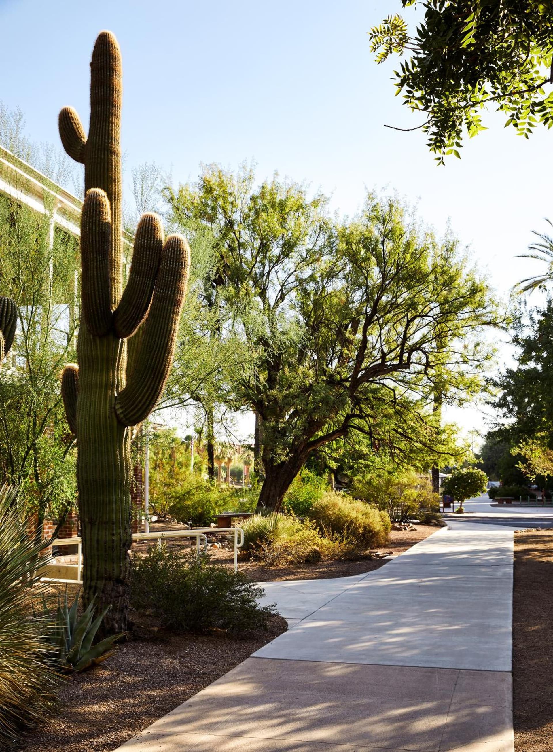 Graduate by Hilton Tucson gallery photo in Tucson, AZ — image 104