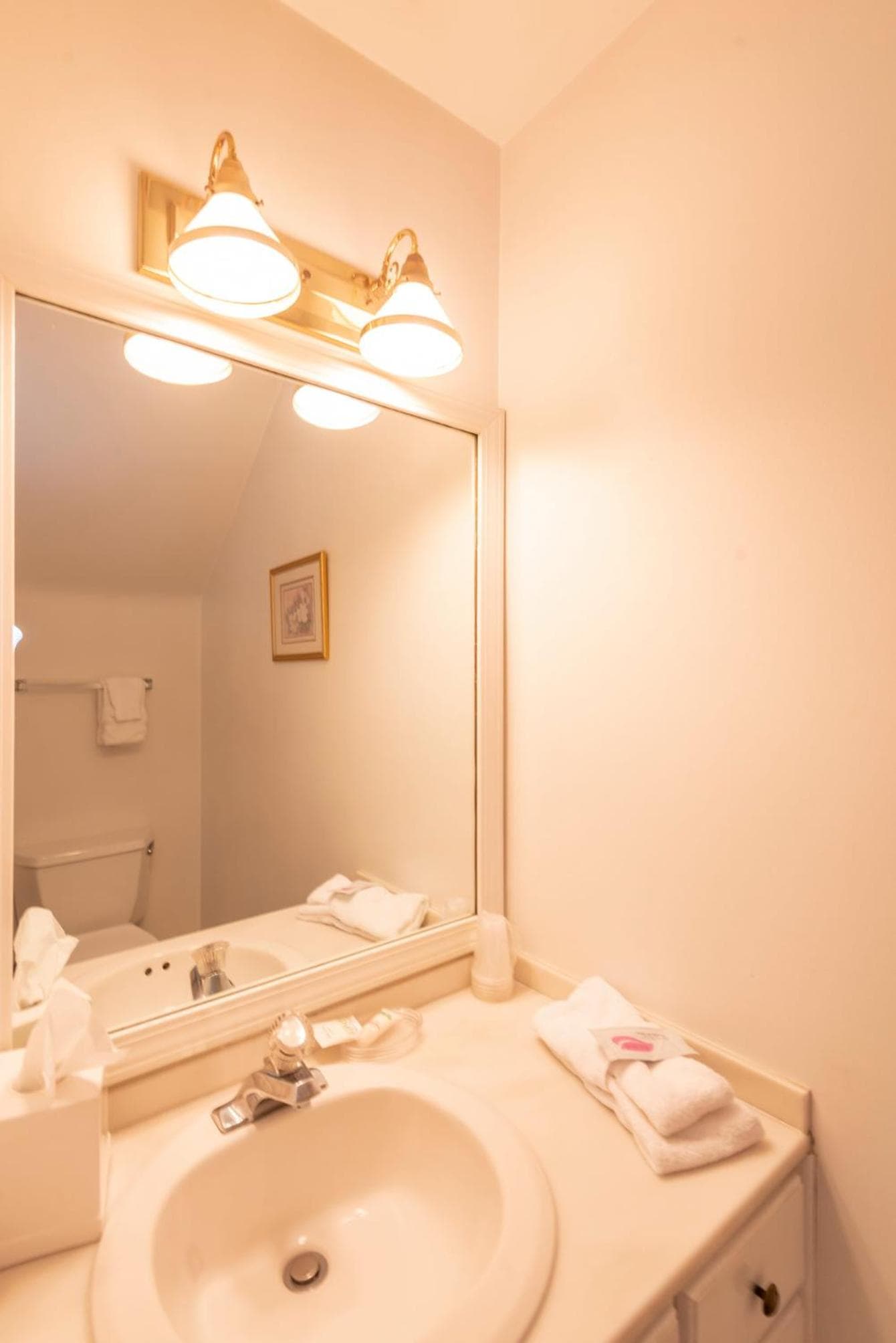 Century Suites Hotel gallery photo in Bloomington, IN — image 61