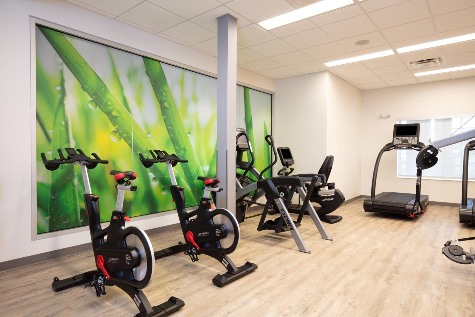 EVEN Hotels Denver Tech Center-Englewood by IHG gallery photo in Centennial, CO — image 45