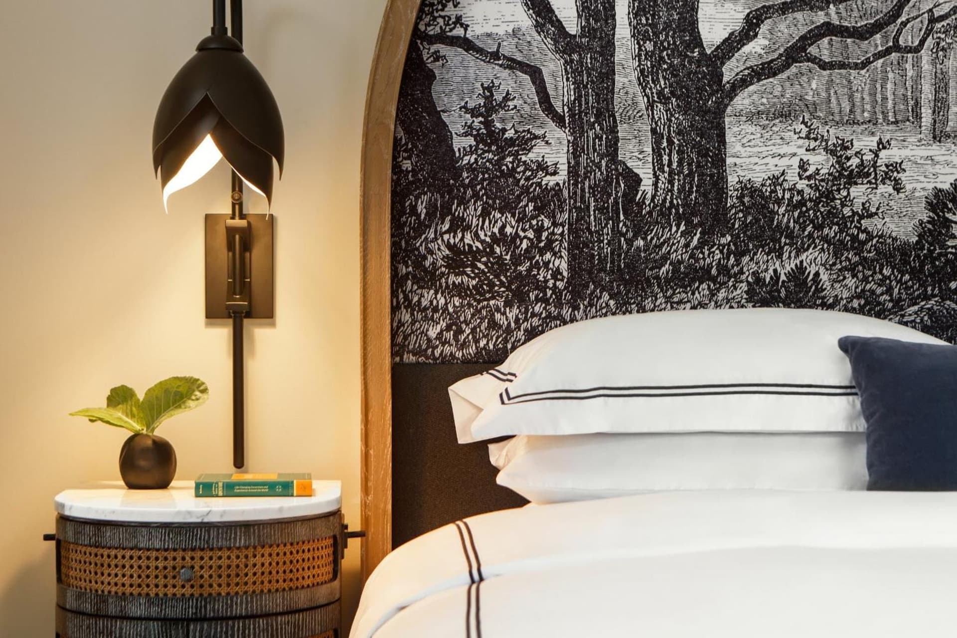 Kimpton Cottonwood Hotel by IHG gallery photo in Omaha, NE — image 12