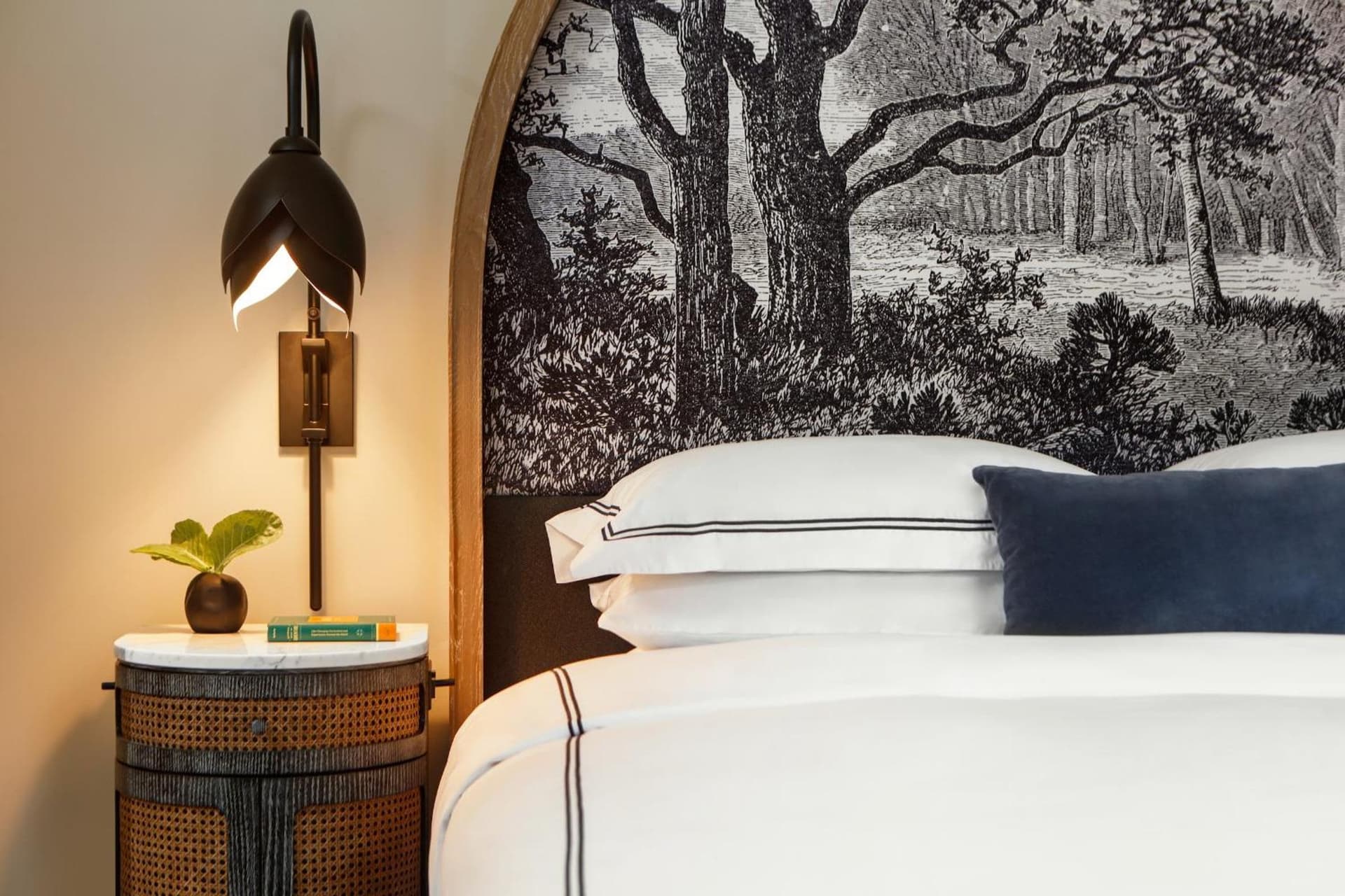Kimpton Cottonwood Hotel by IHG gallery photo in Omaha, NE — image 60