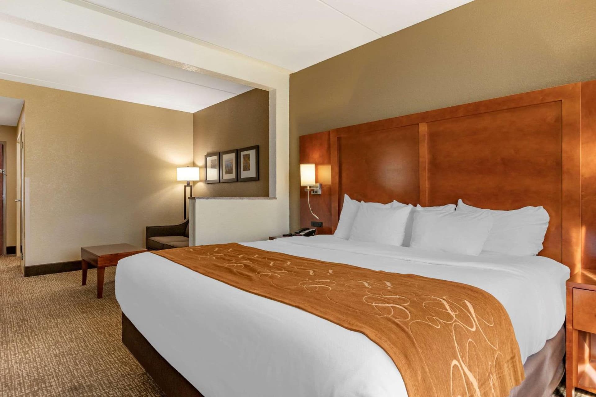 Comfort Suites Grand Rapids South gallery photo in Grand Rapids, MI — image 12