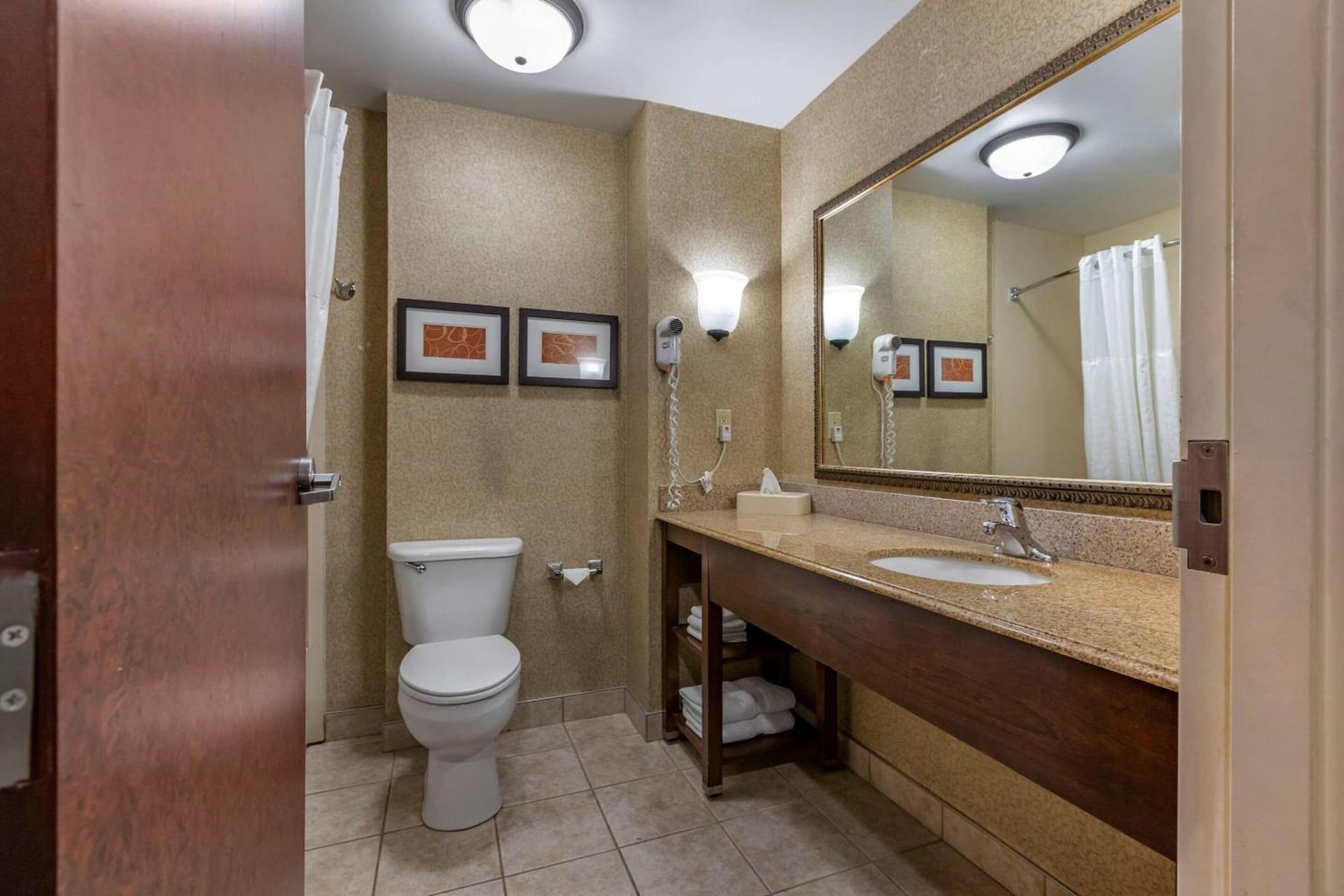 Comfort Suites Grand Rapids South gallery photo in Grand Rapids, MI — image 15