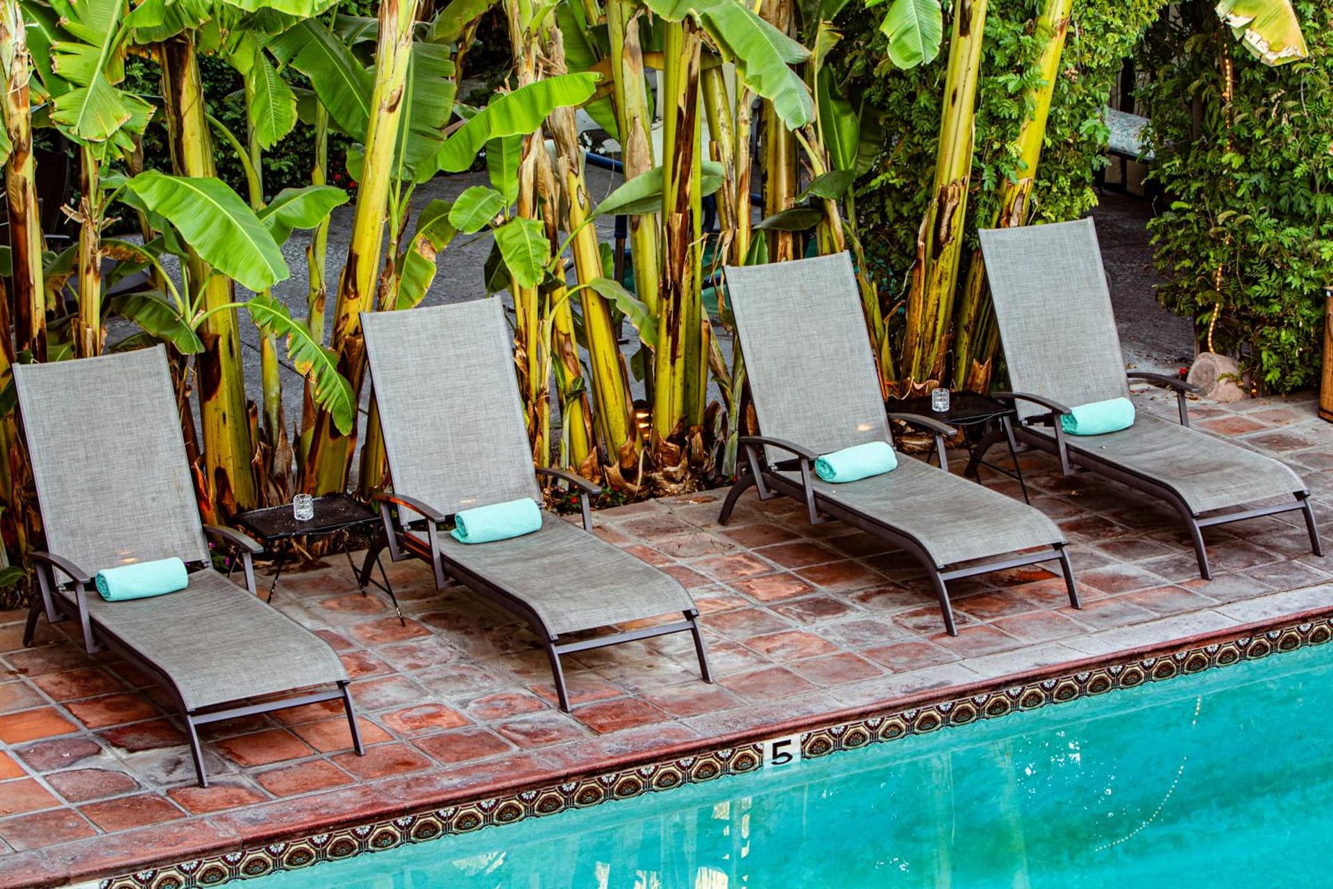Hotel California - A Town & Desert Boutique Hotel gallery photo in Palm Springs, CA — image 87