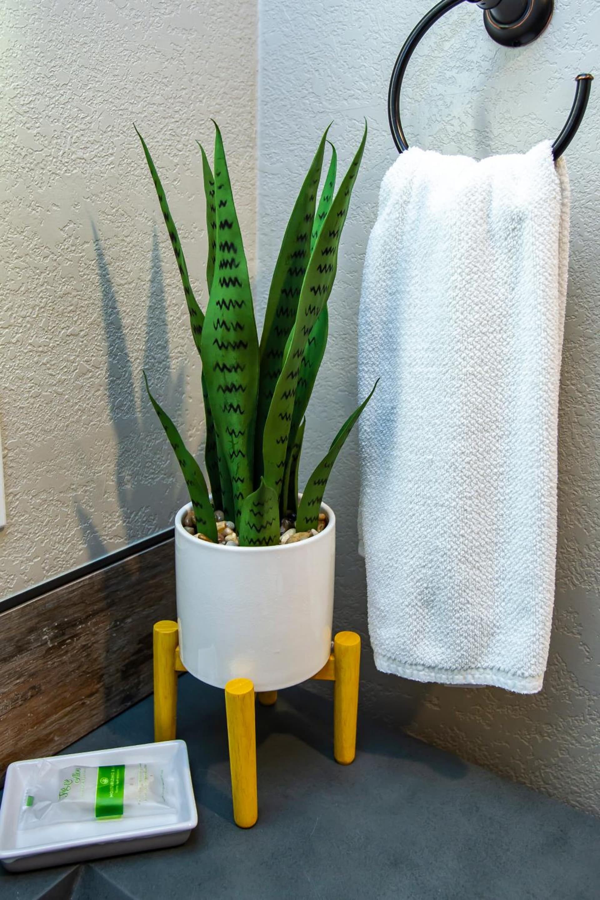 Hotel California - A Town & Desert Boutique Hotel gallery photo in Palm Springs, CA — image 79