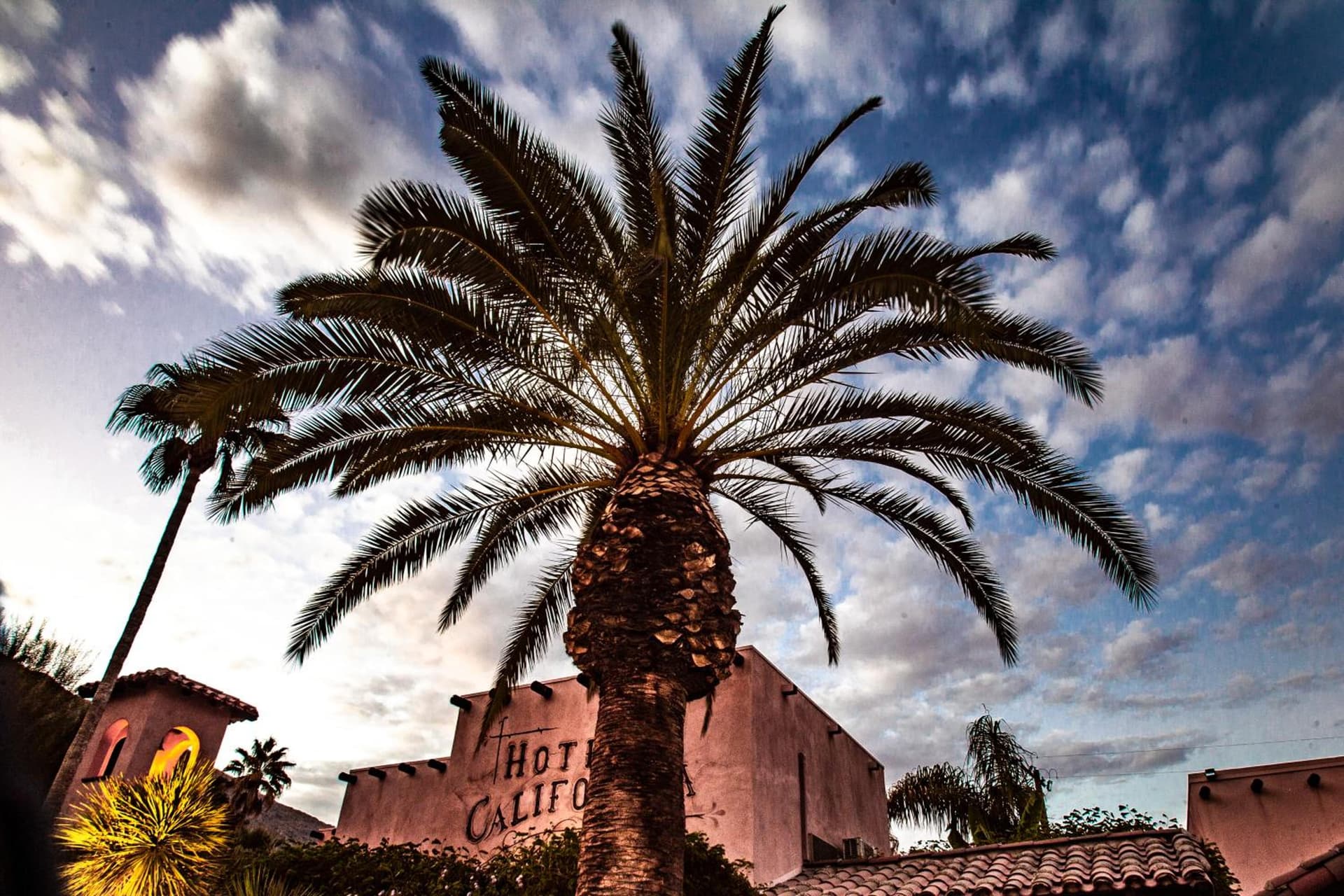 Hotel California - A Town & Desert Boutique Hotel gallery photo in Palm Springs, CA — image 95