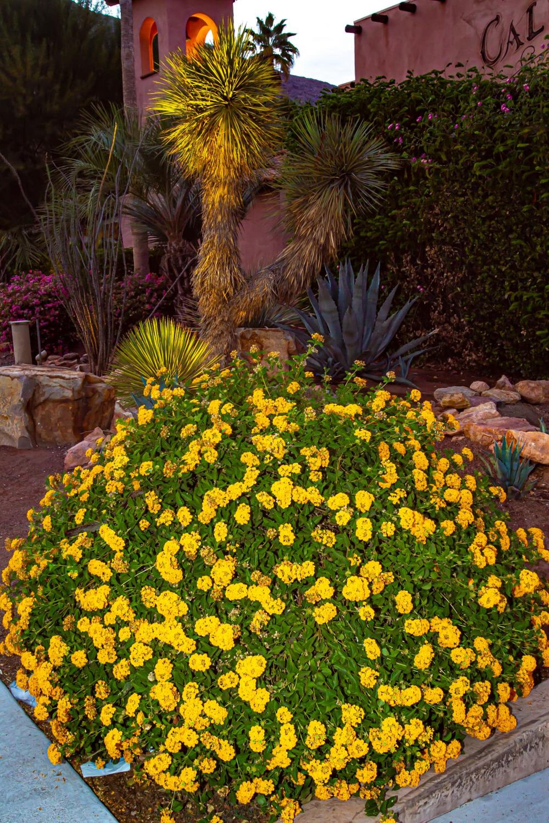 Hotel California - A Town & Desert Boutique Hotel gallery photo in Palm Springs, CA — image 126
