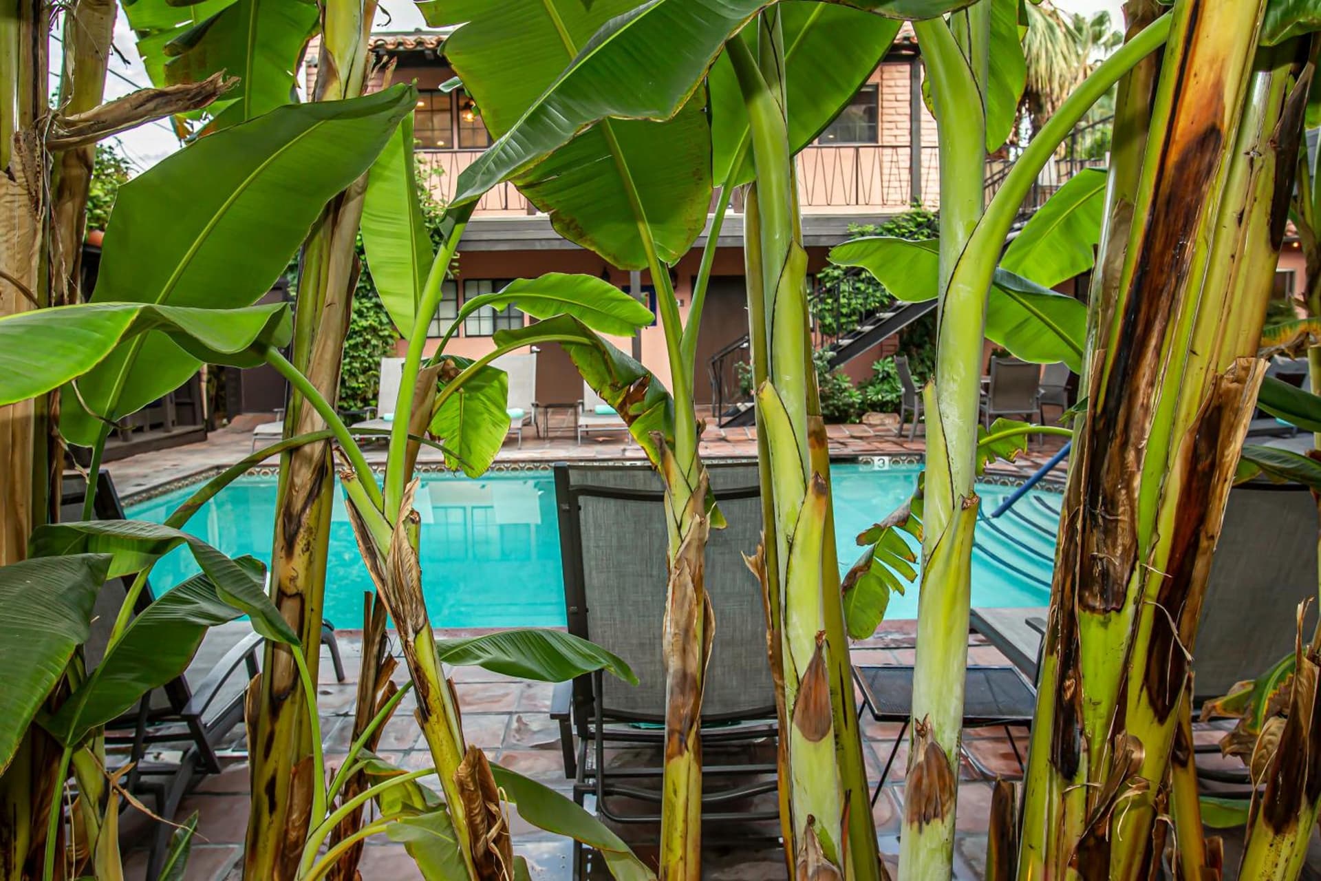 Hotel California - A Town & Desert Boutique Hotel gallery photo in Palm Springs, CA — image 107