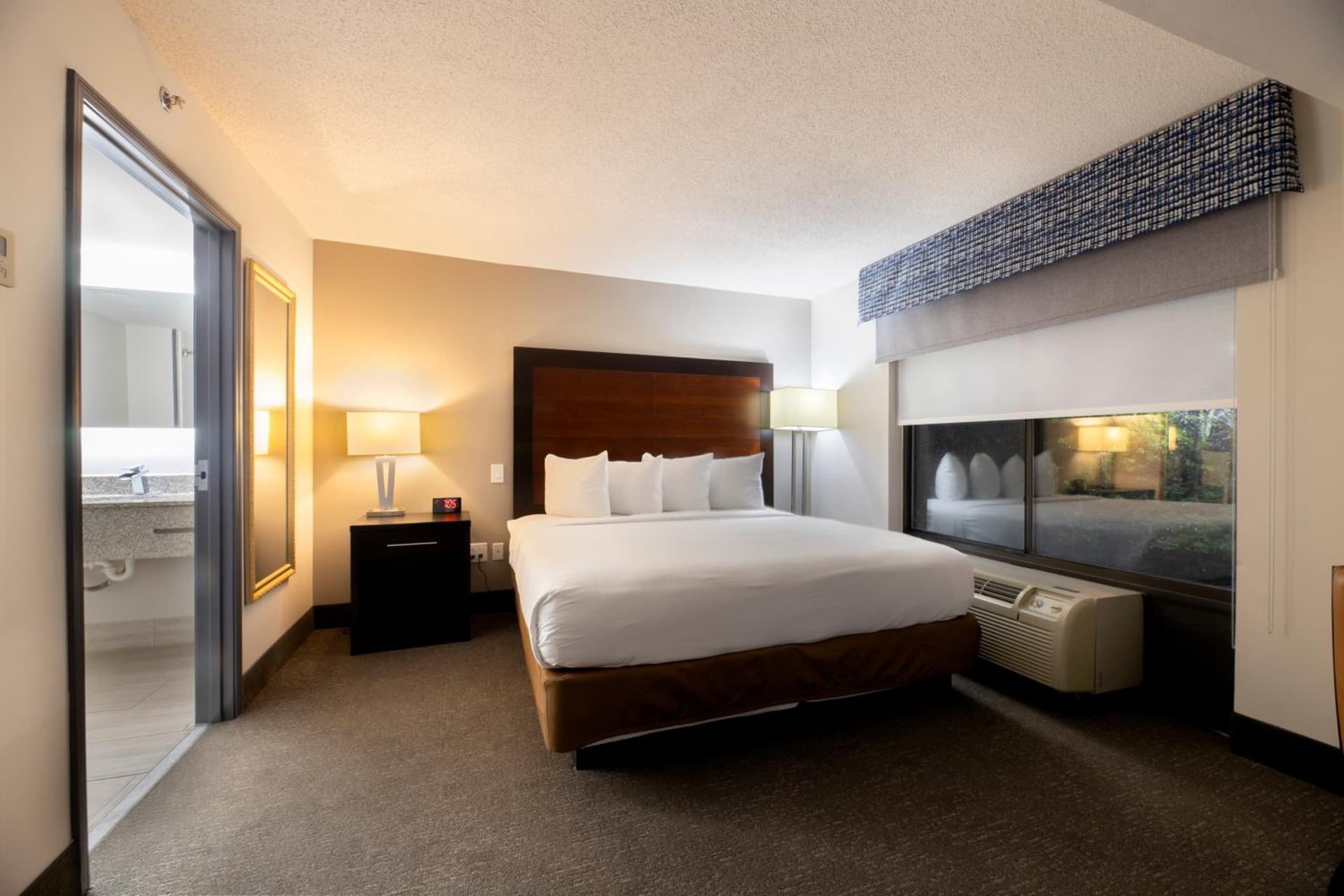 Wingate by Wyndham Atlanta Galleria/ Ballpark gallery photo in Atlanta, GA — image 46