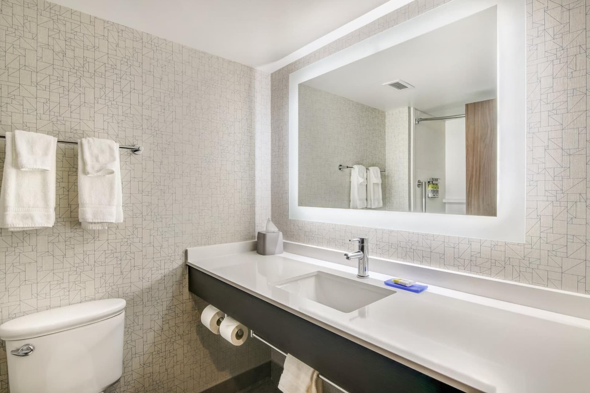 Holiday Inn Express & Suites Longview North by IHG gallery photo in Longview, TX — image 71