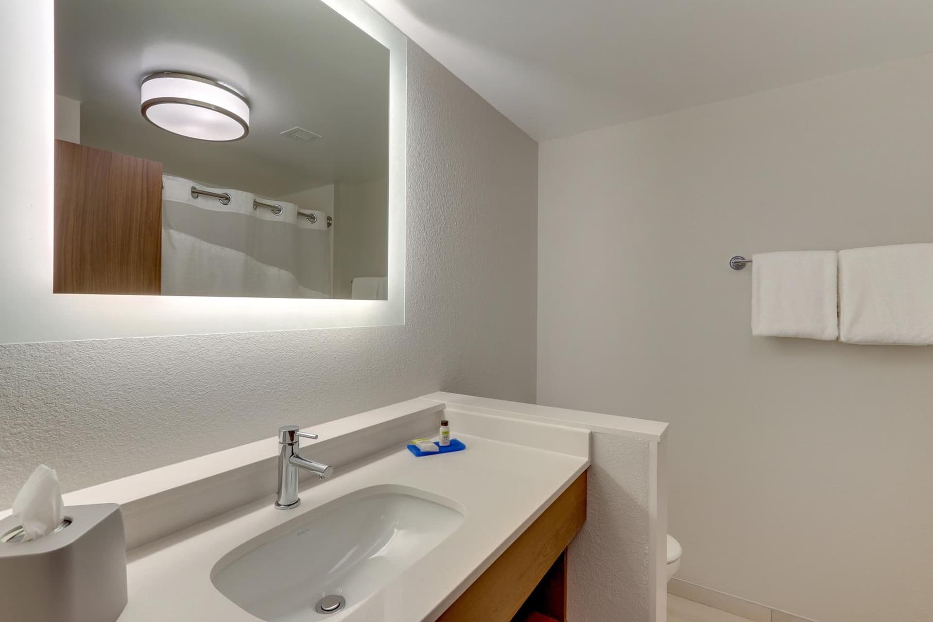 Holiday Inn Express & Suites - Roanoke – Civic Center gallery photo in Roanoke, VA — image 11