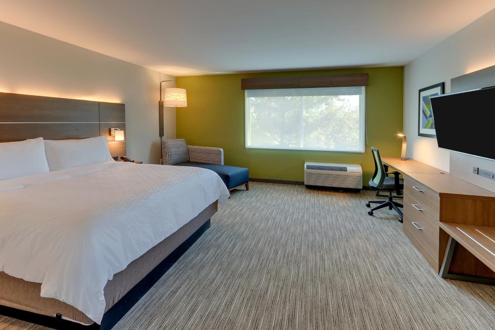 Holiday Inn Express & Suites - Roanoke – Civic Center gallery photo in Roanoke, VA — image 48