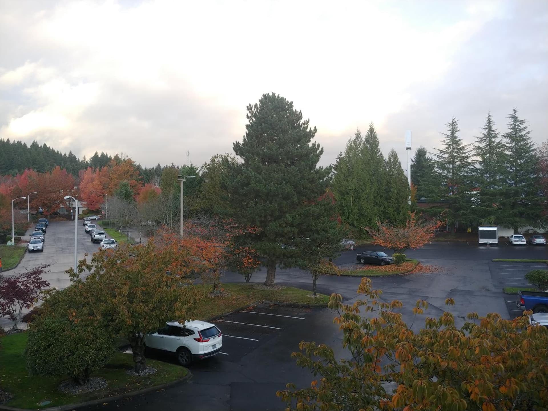 Best Western Plus Parkway Inn gallery photo in Wilsonville, OR — image 34
