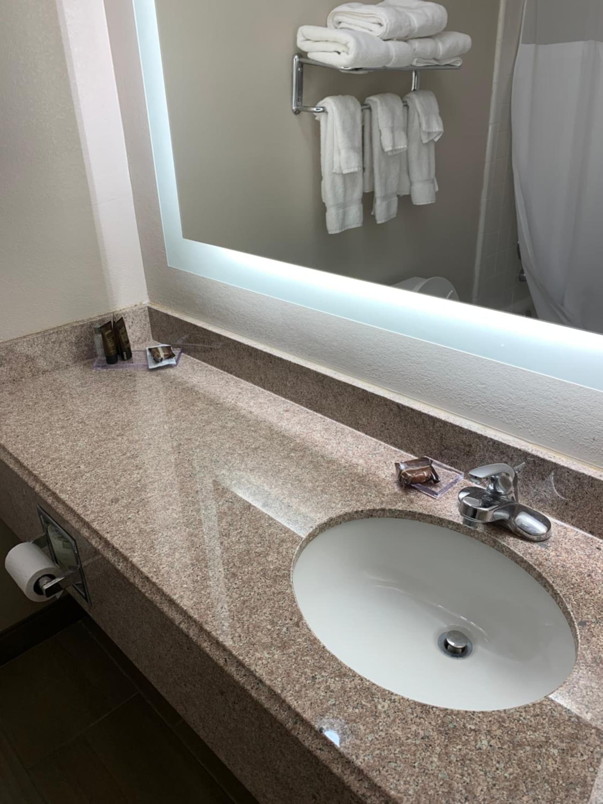 Wingate by Wyndham Brighton gallery photo in Brighton, MI — image 30