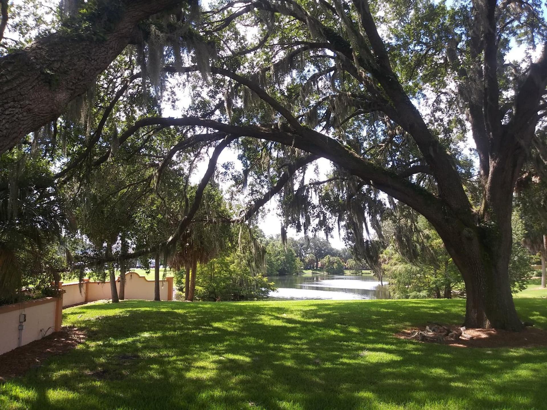 Holiday Inn Express Hotel & Suites - The Villages by IHG gallery photo in The Villages, FL — image 86