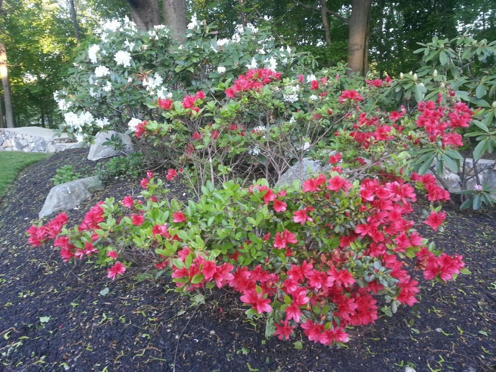 Crescent Suites Hotel property views in Waltham, MA — gallery photo 3