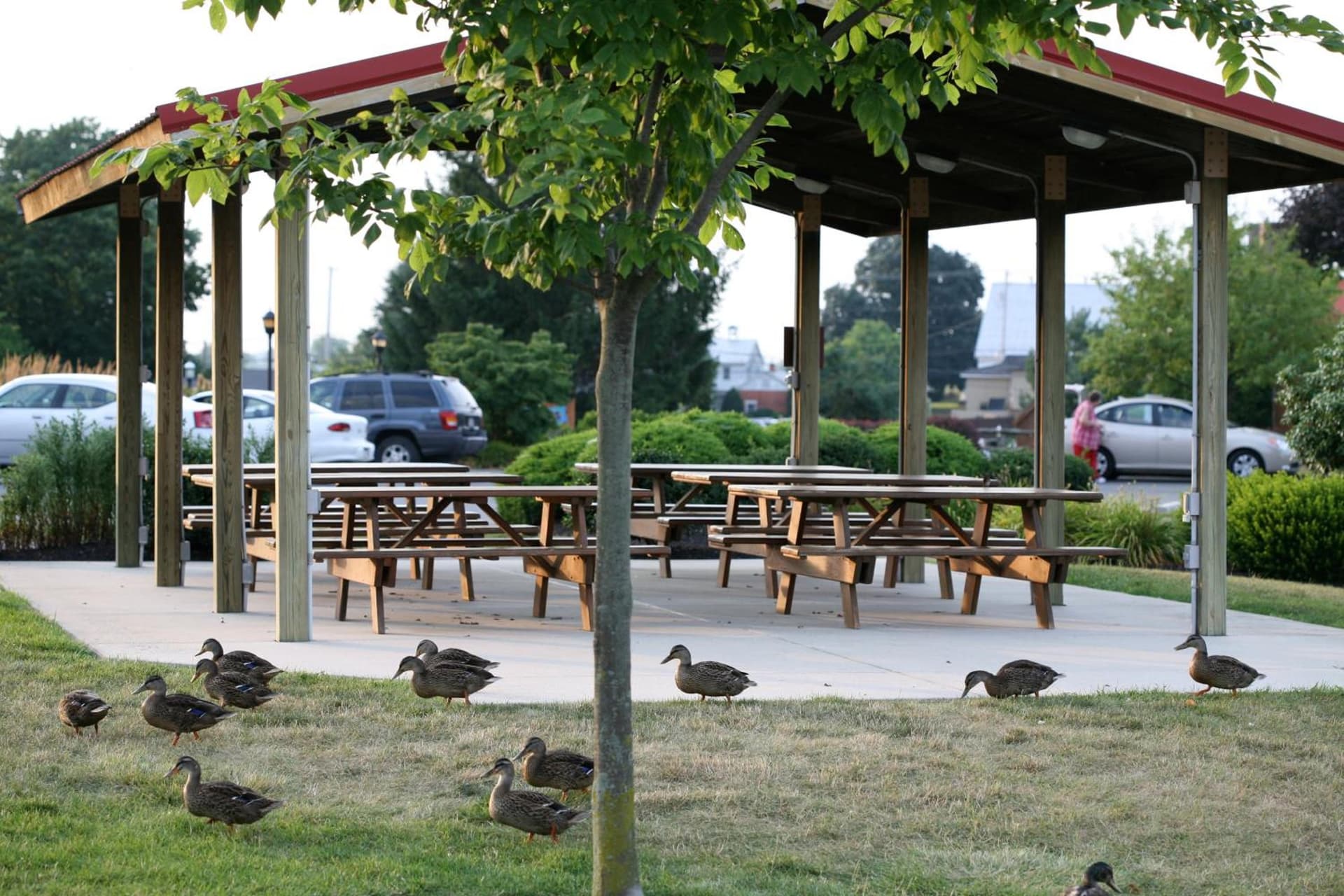 Bird-in-Hand Family Inn gallery photo in Bird in Hand, PA — image 21