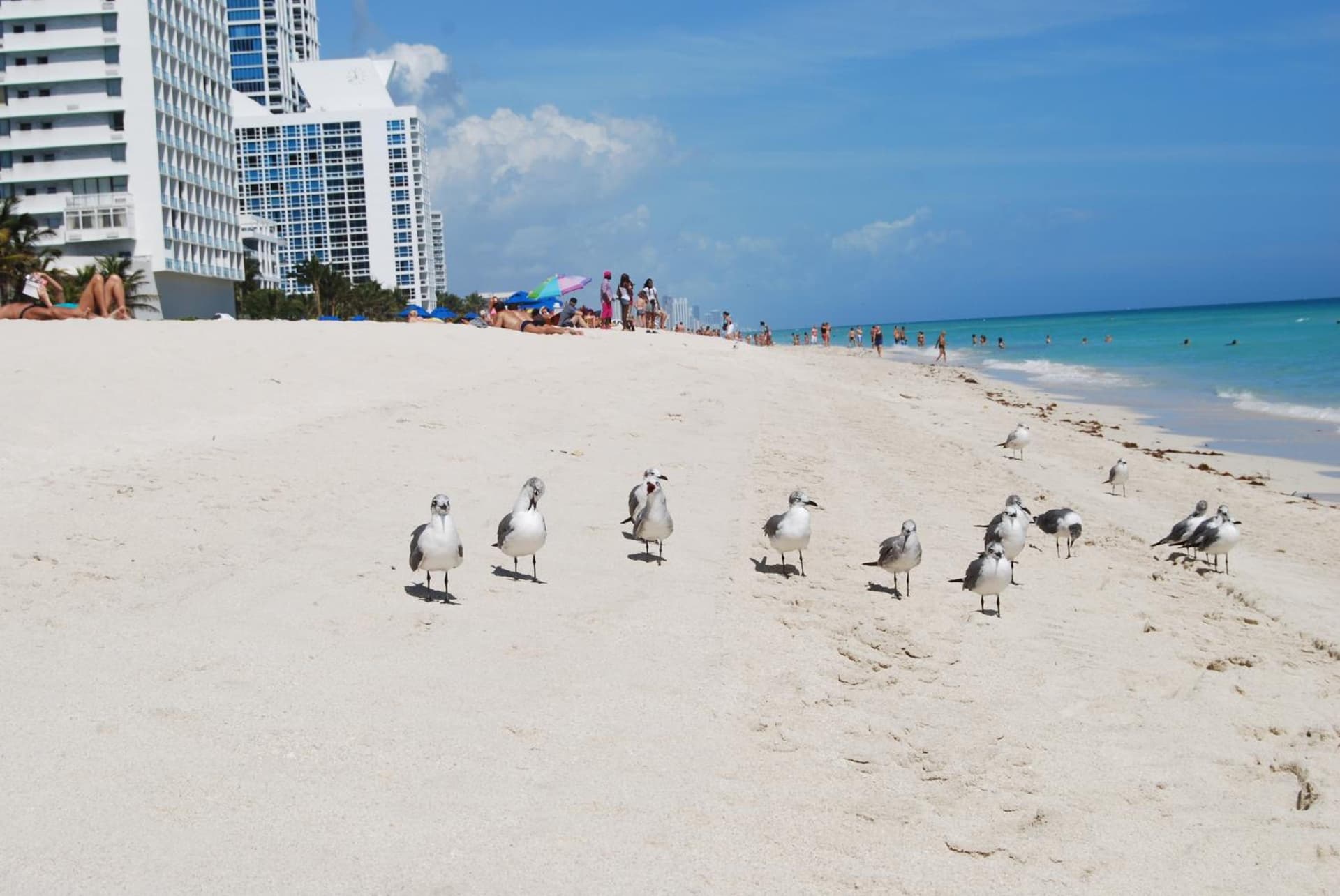 Monte Carlo by Miami Vacations gallery photo in Miami Beach, FL — image 7
