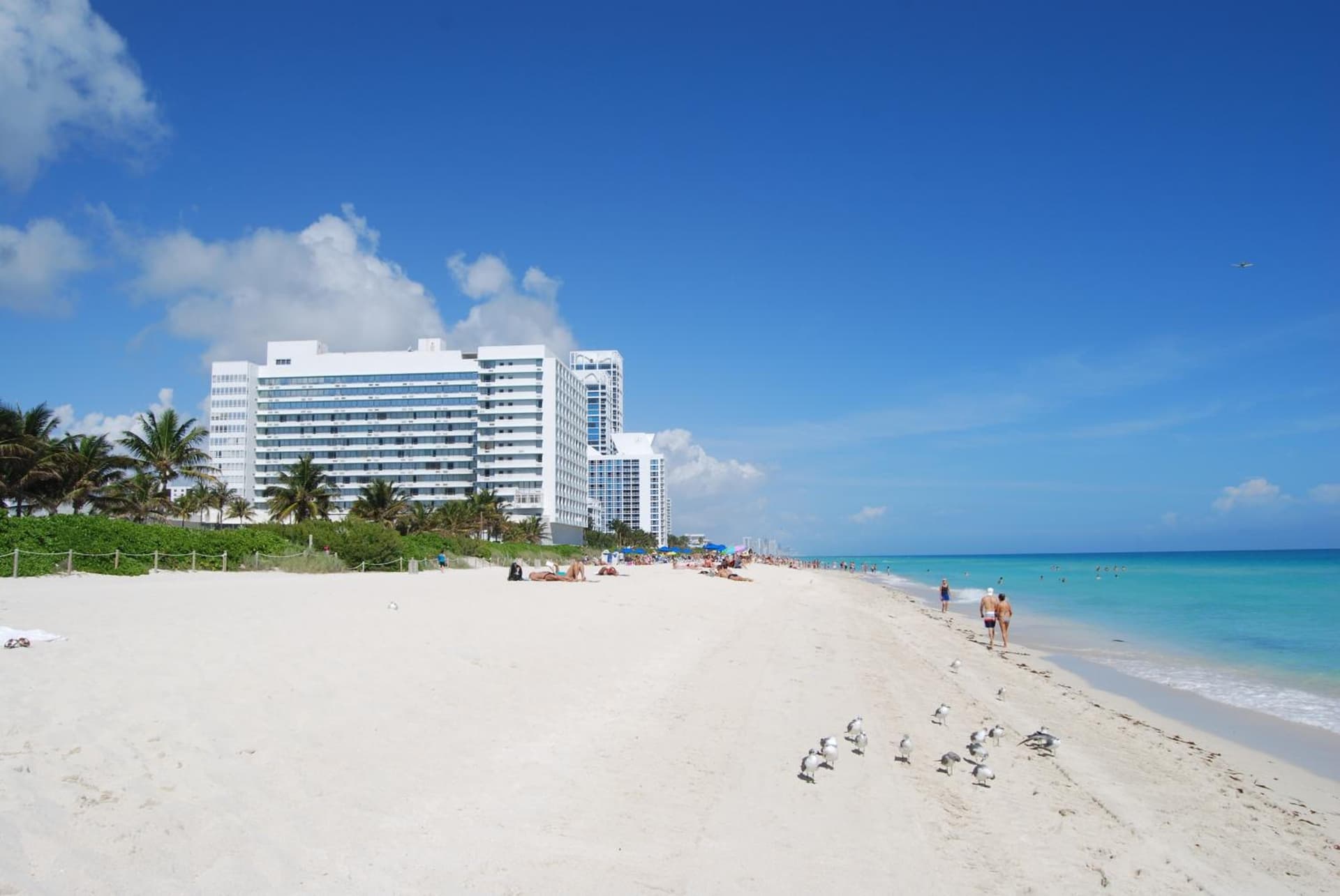 Monte Carlo by Miami Vacations gallery photo in Miami Beach, FL — image 45
