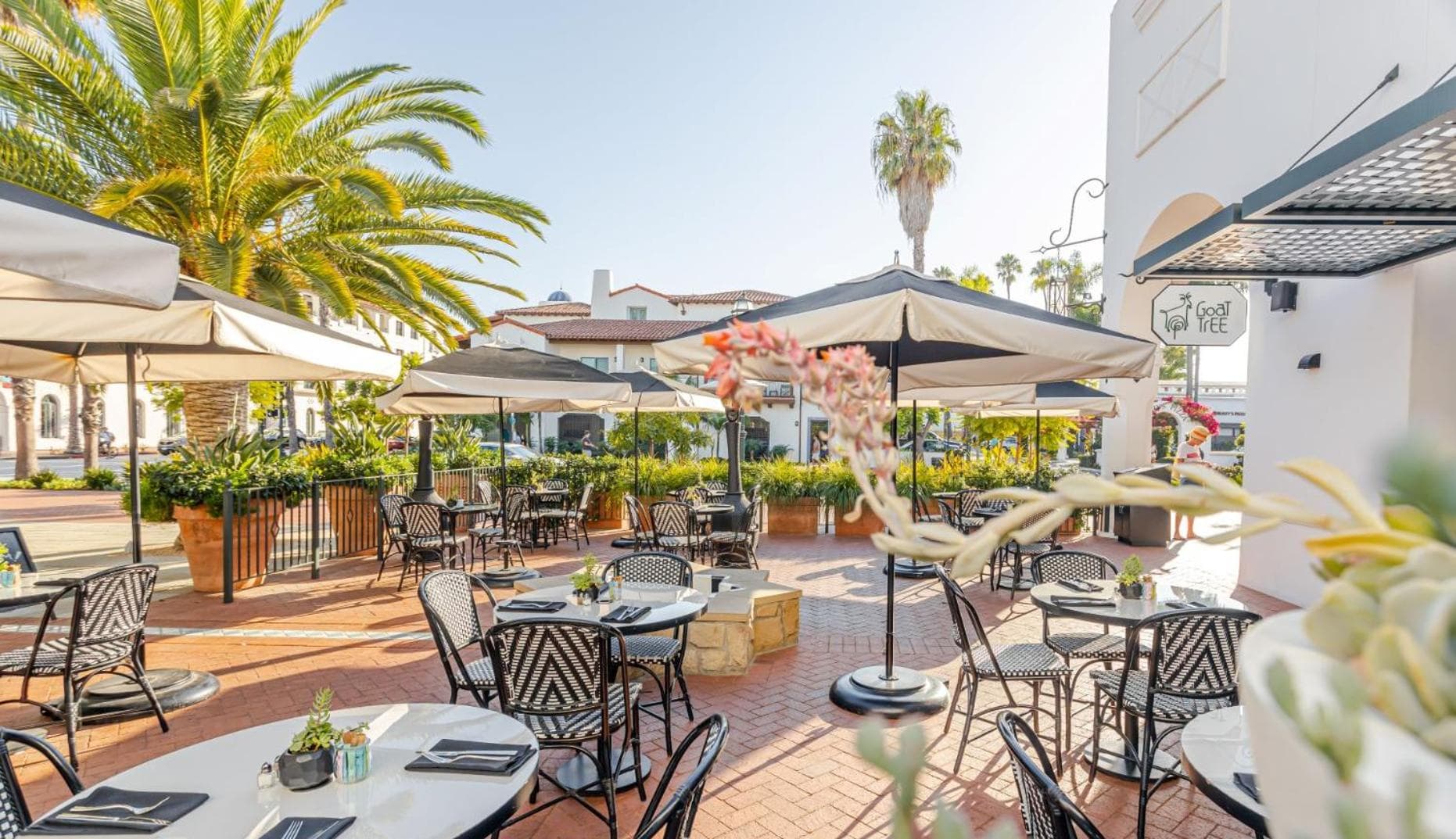 Hotel Californian gallery photo in Santa Barbara, CA — image 48