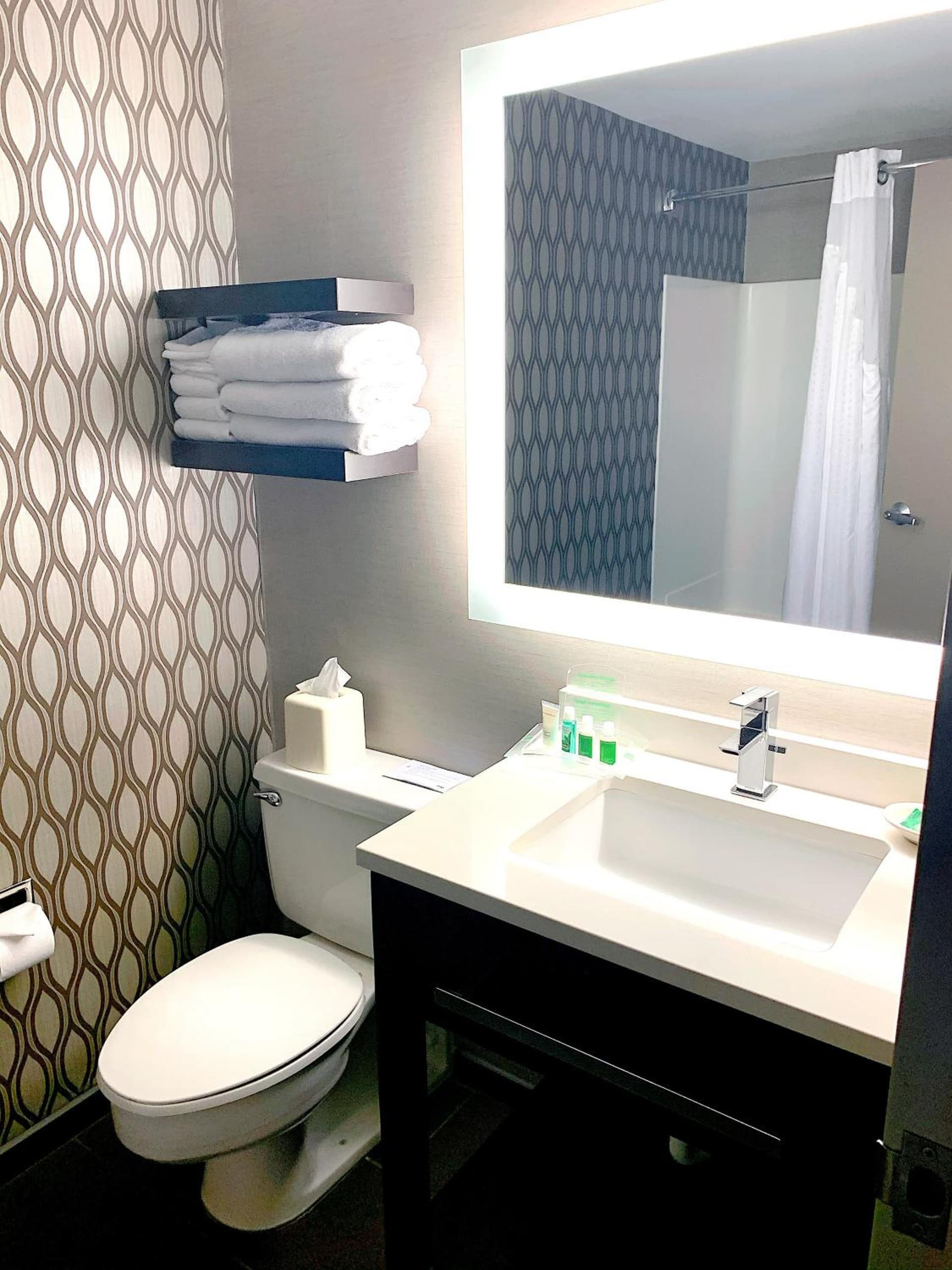 Holiday Inn St. Paul Downtown by IHG gallery photo in Saint Paul, MN — image 7