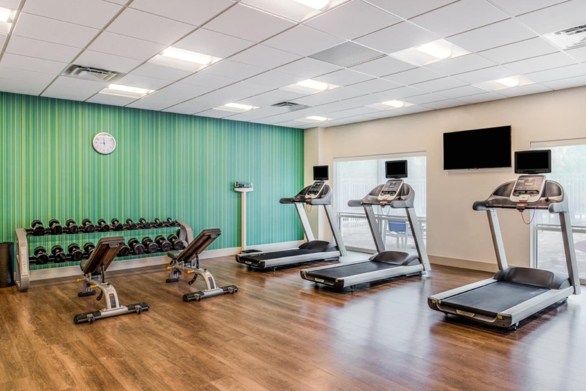 Holiday Inn Express & Suites - Tampa North - Wesley Chapel by IHG gallery photo in Wesley Chapel, FL — image 28