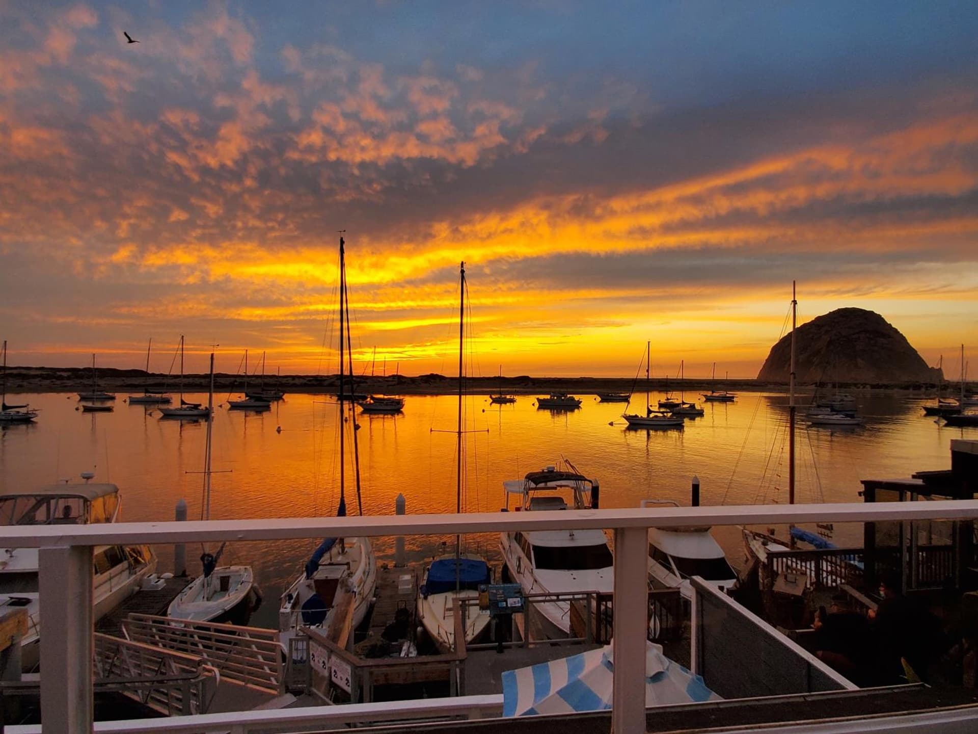 Gray's Inn & Gallery gallery photo in Morro Bay, CA — image 83