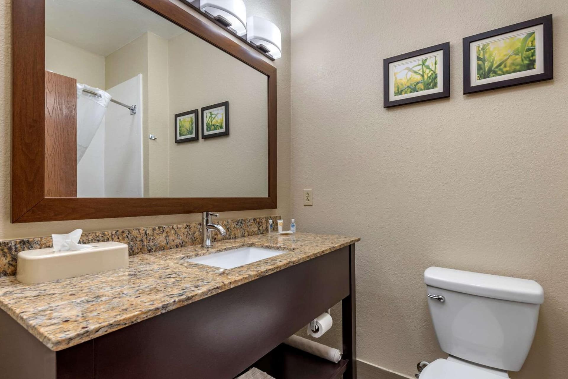 Comfort Suites Auburn near I-69 gallery photo in Auburn, IN — image 7