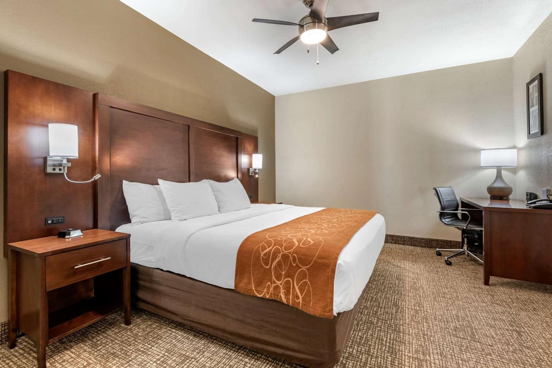 Comfort Suites Auburn near I-69 gallery photo in Auburn, IN — image 8