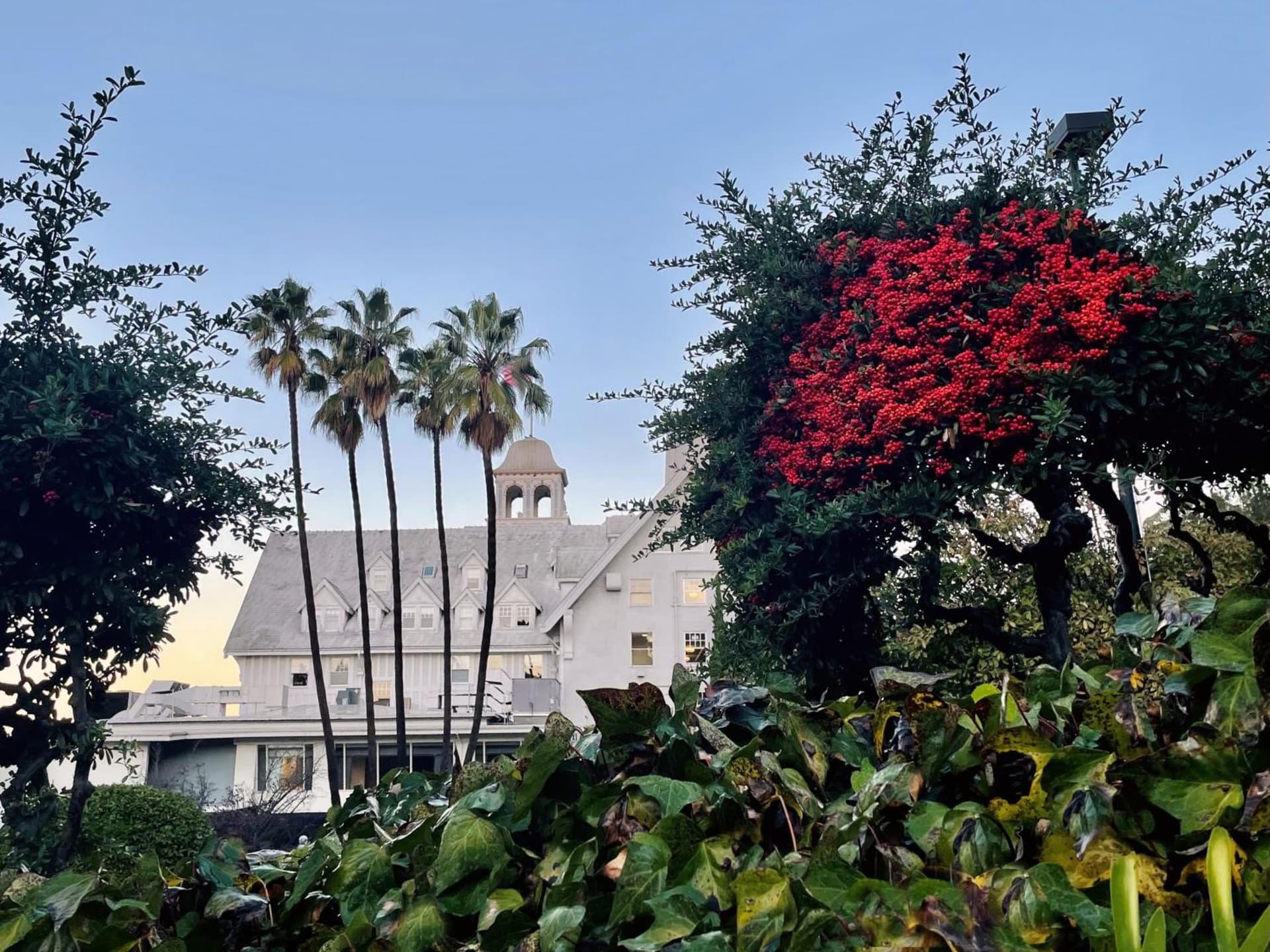 Claremont Resort & Club gallery photo in Berkeley, CA — image 66
