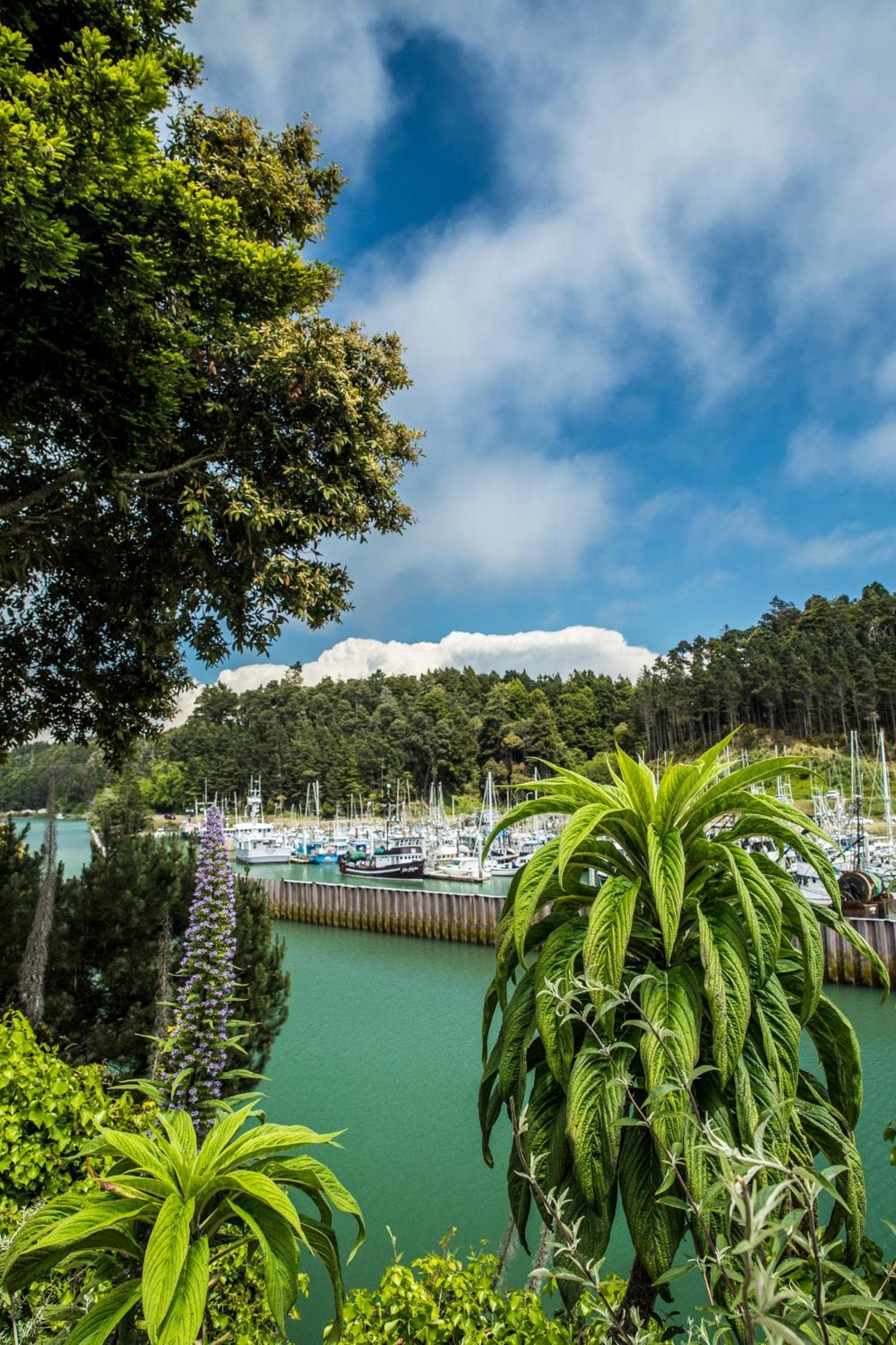 Noyo Harbor Inn interior in Fort Bragg, CA — gallery photo 2
