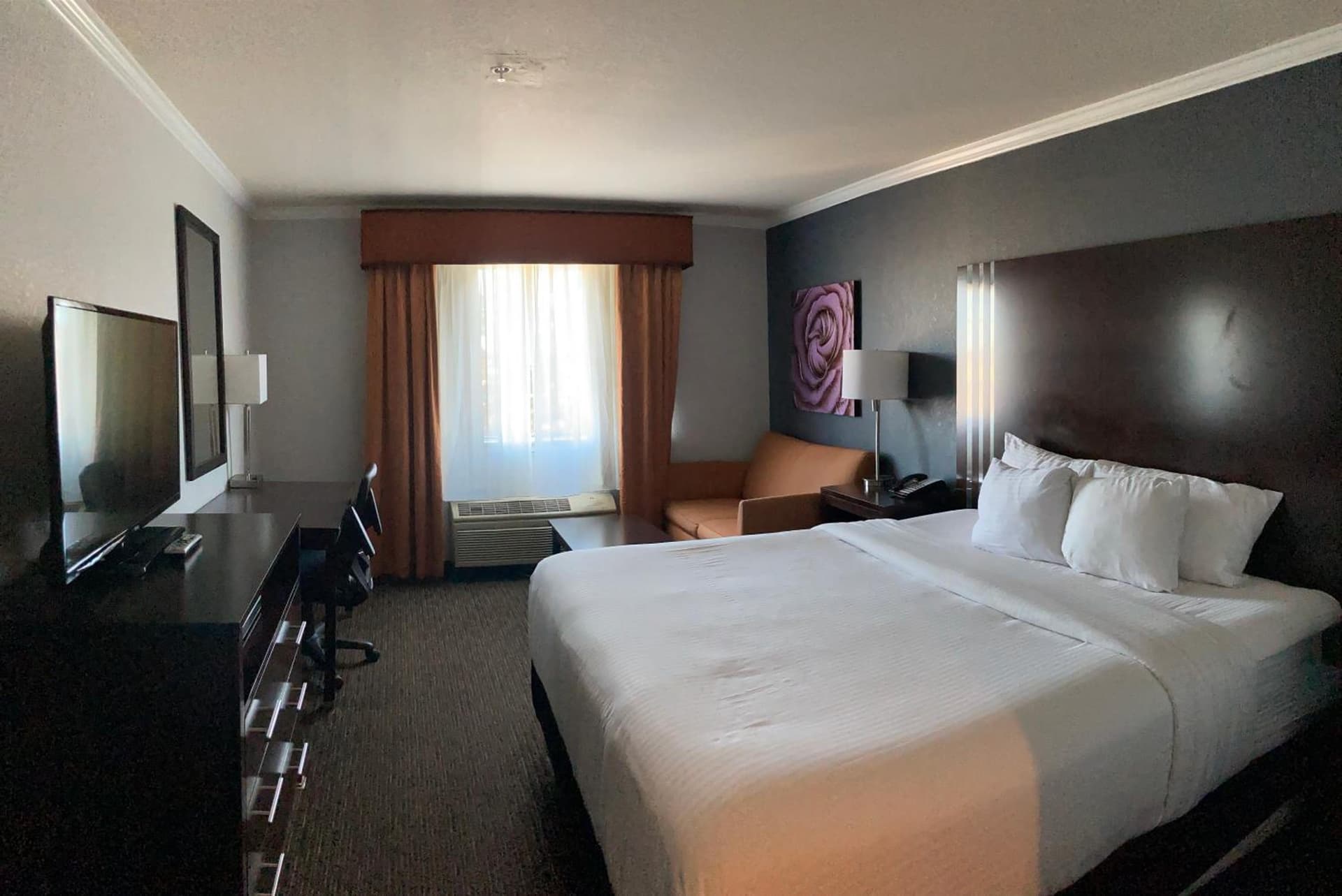 La Quinta by Wyndham Davis gallery photo in Davis, CA — image 13