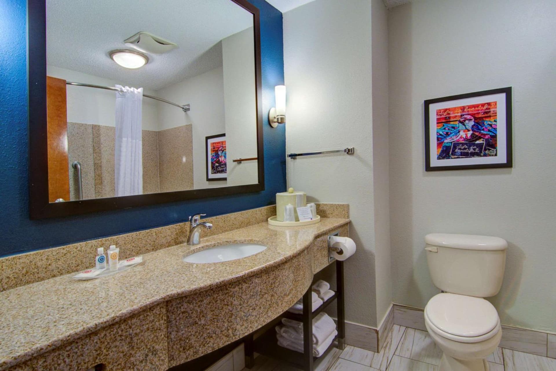 Comfort Suites Newport News Airport gallery photo in Newport News, VA — image 33