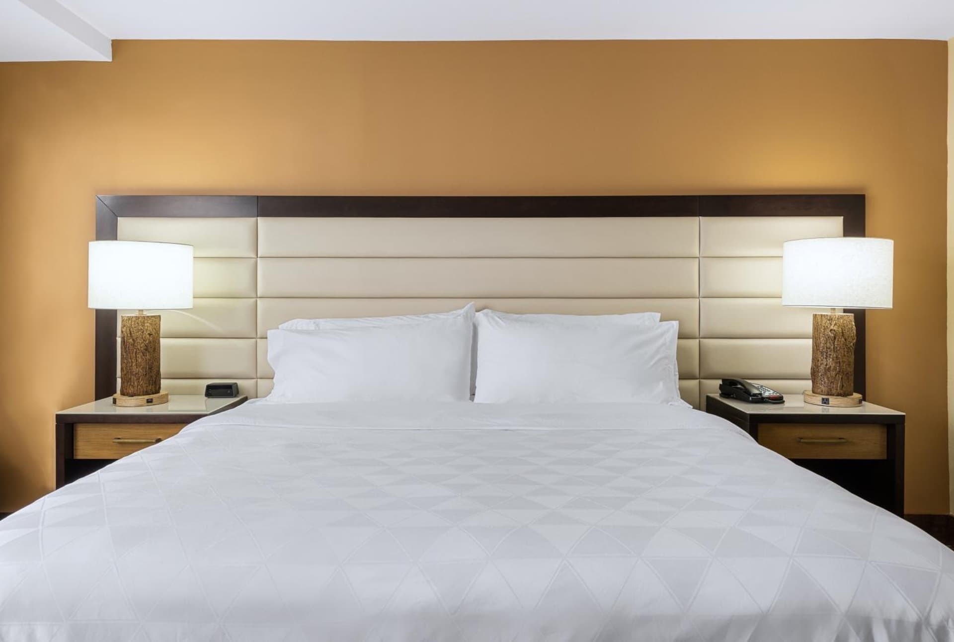 Doubletree By Hilton Greensboro Airport gallery photo in Greensboro, NC — image 24