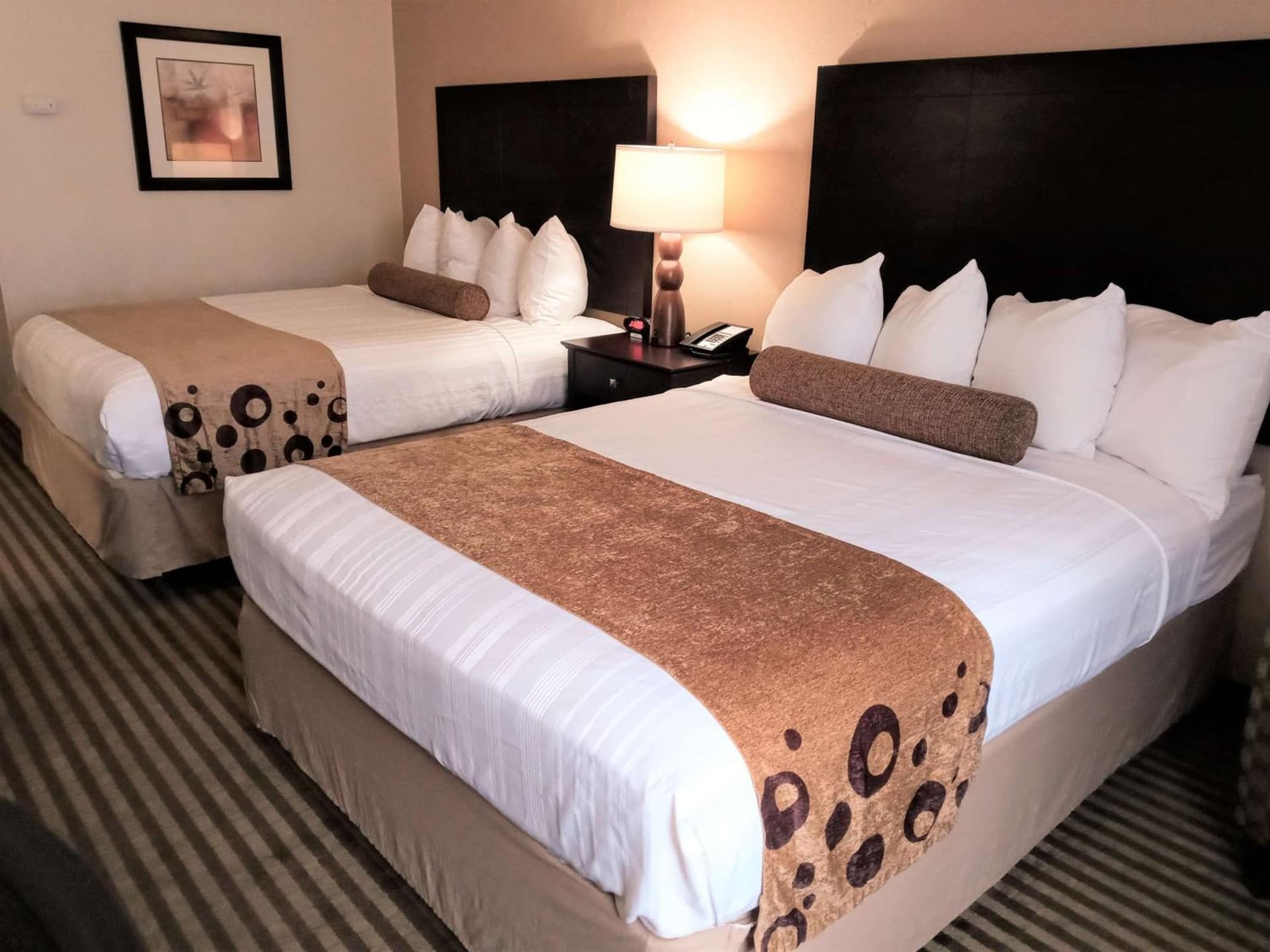 Wyndham Tucson Airport Hotel & Conference Center gallery photo in Tucson, AZ — image 14