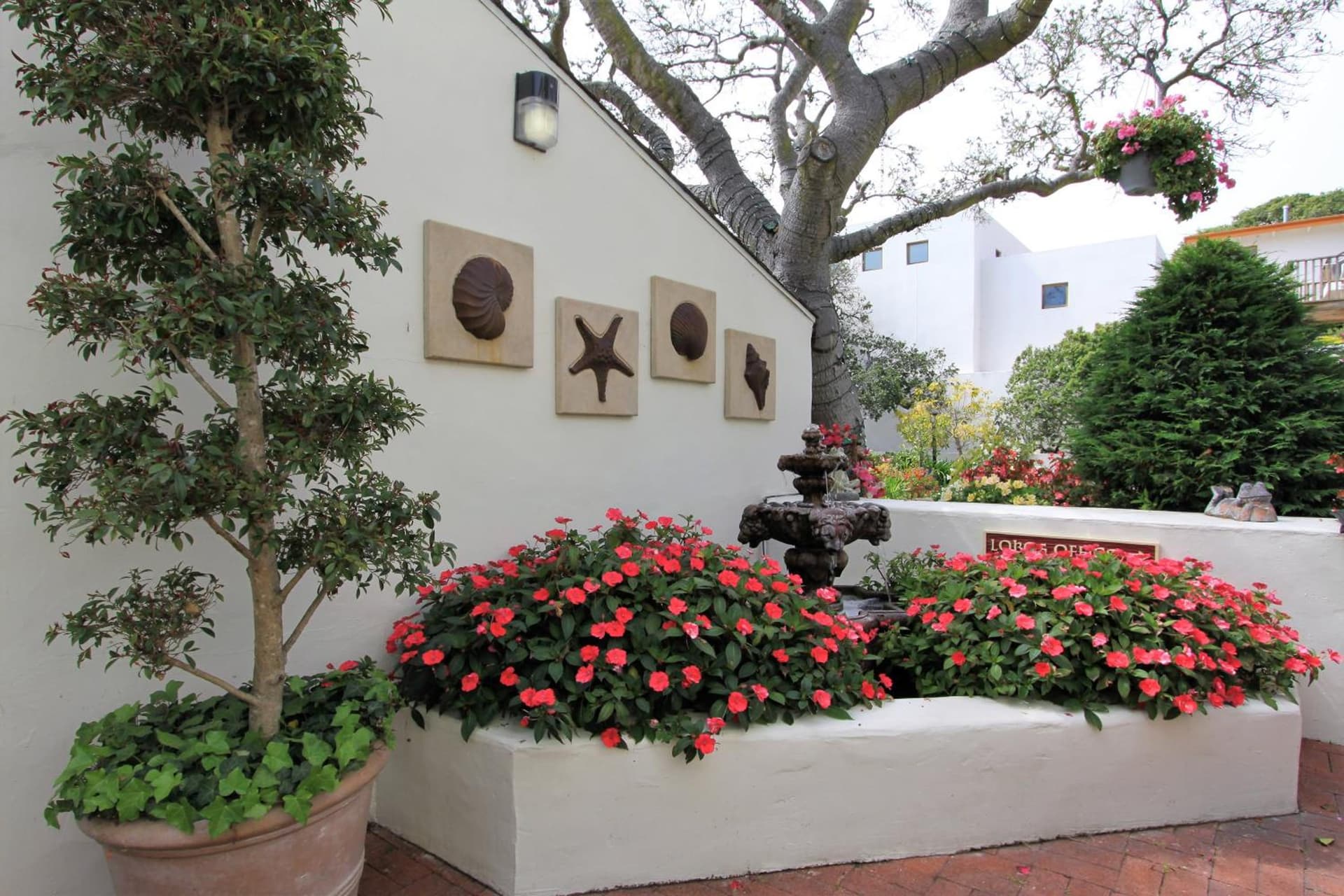Lobos Lodge gallery photo in Carmel — image 5