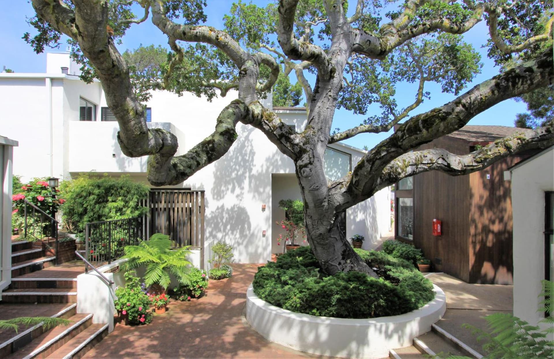 Lobos Lodge gallery photo in Carmel — image 36