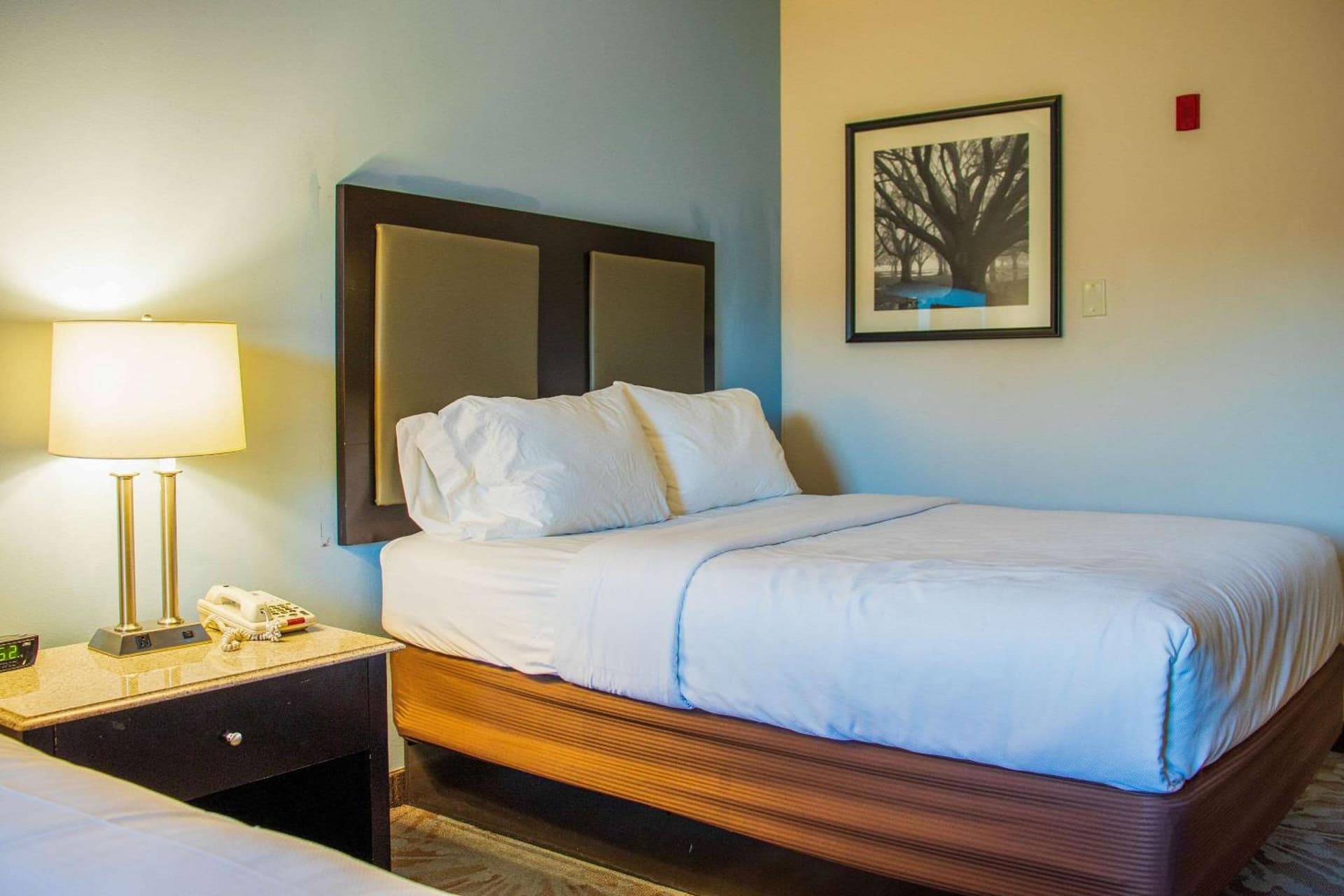 Comfort Inn & Suites Plainville-Foxboro gallery photo in Plainville — image 19