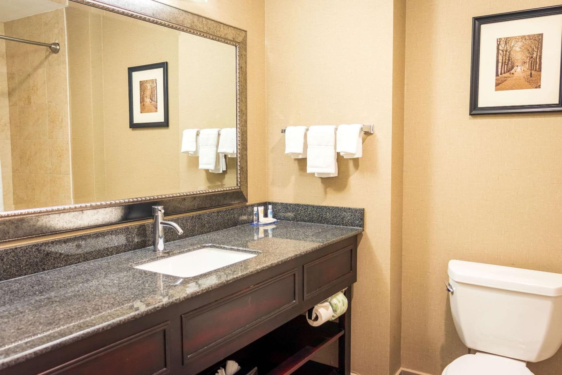 Comfort Inn & Suites Plainville-Foxboro gallery photo in Plainville — image 12