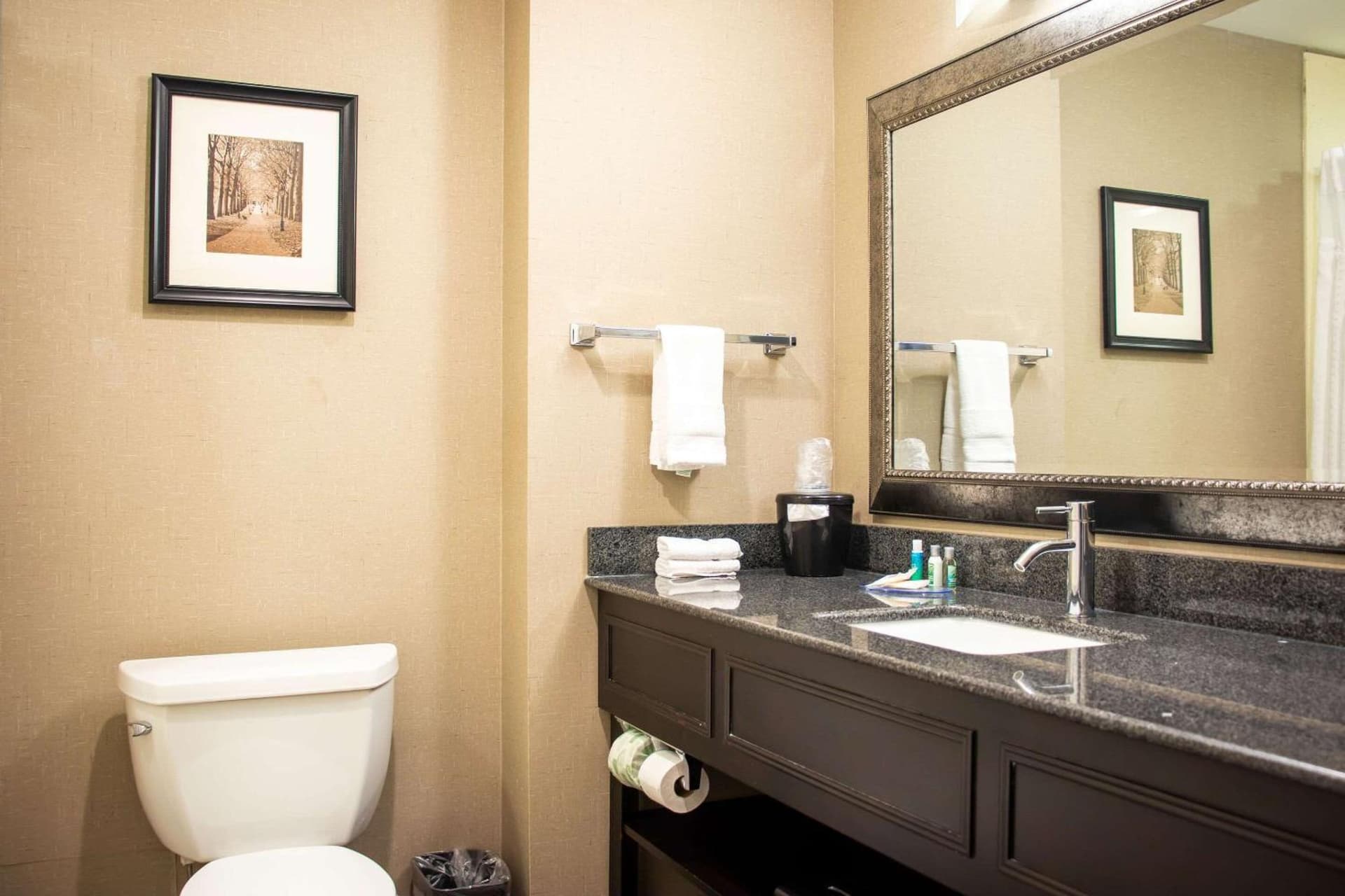 Comfort Inn & Suites Plainville-Foxboro gallery photo in Plainville — image 27