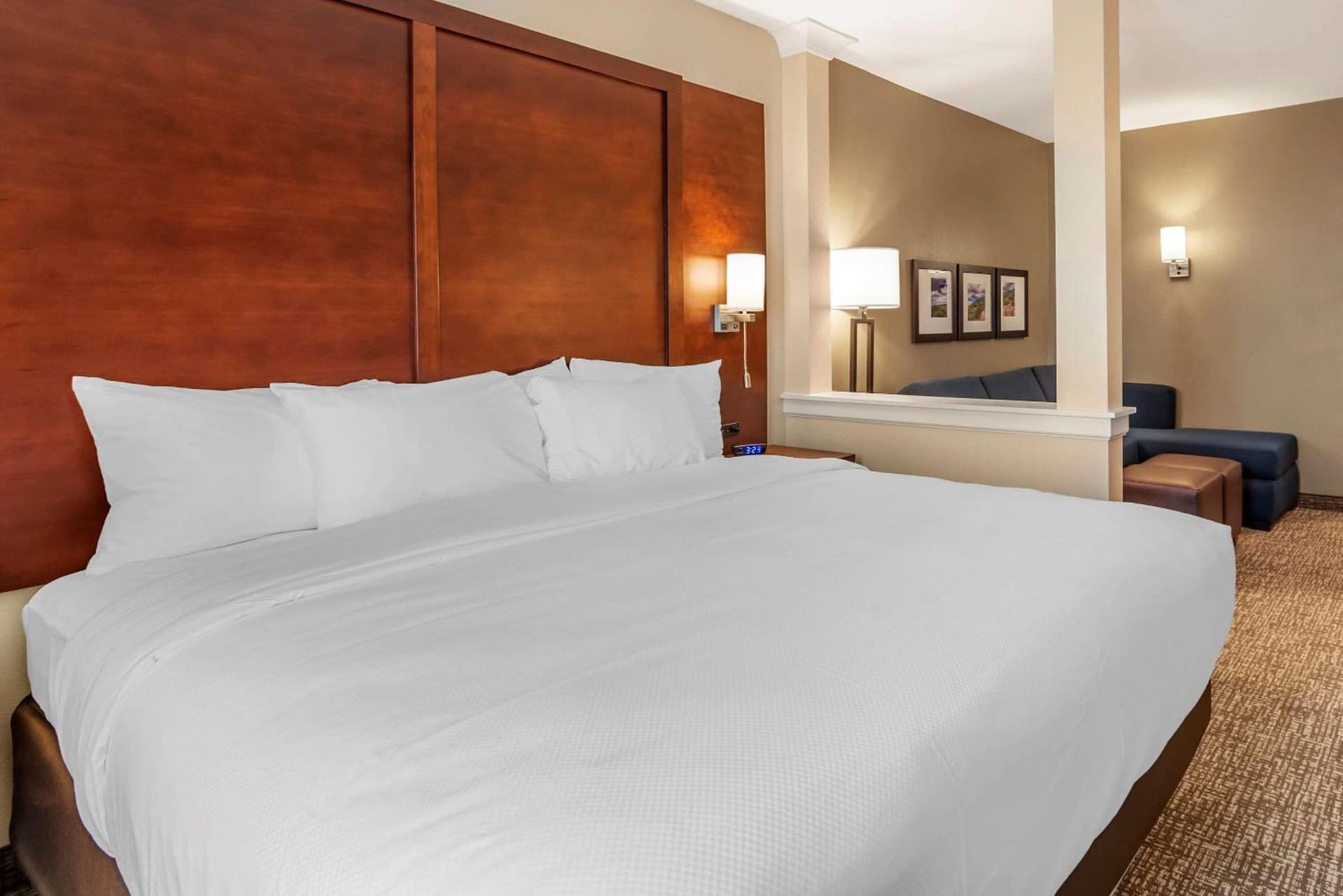 Comfort Inn & Suites Winchester gallery photo in Winchester, VA — image 32