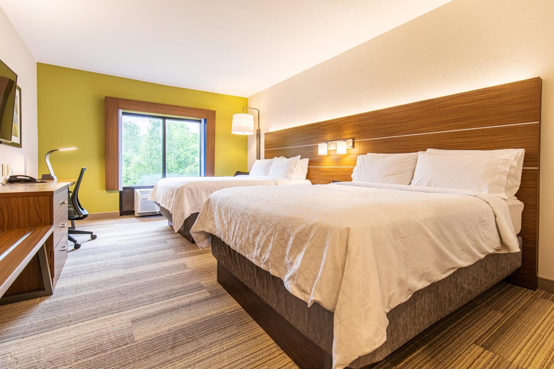 Holiday Inn Express Johnson City by IHG property views in Johnson City, TN — gallery photo 3