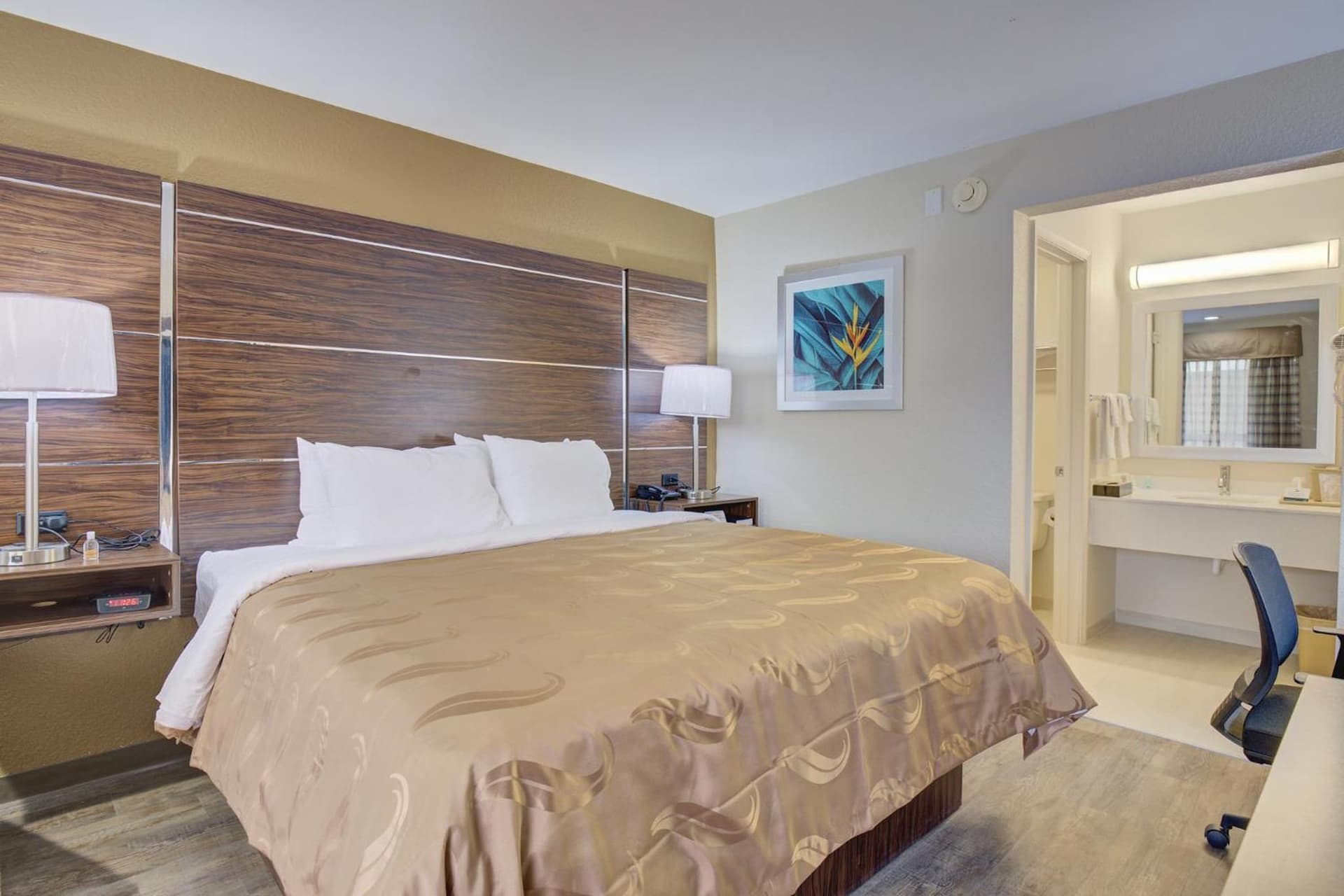 Quality Inn & Suites gallery photo in Suffolk, VA — image 34