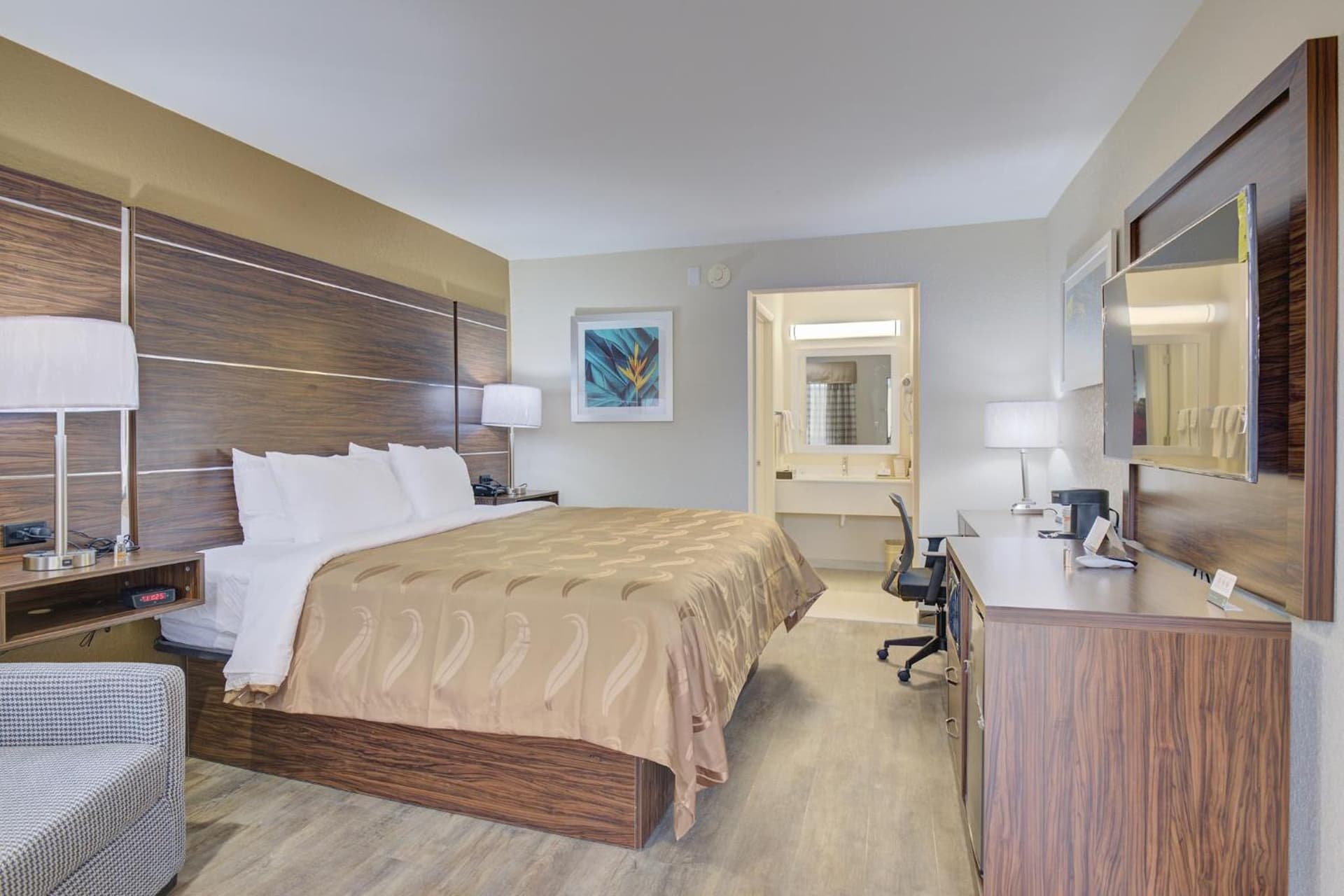 Quality Inn & Suites gallery photo in Suffolk, VA — image 25