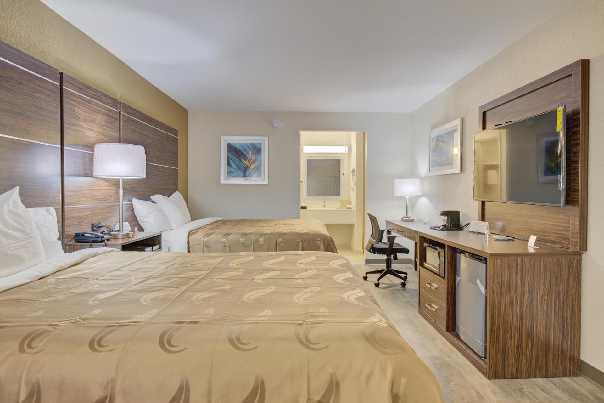 Quality Inn & Suites gallery photo in Suffolk, VA — image 17
